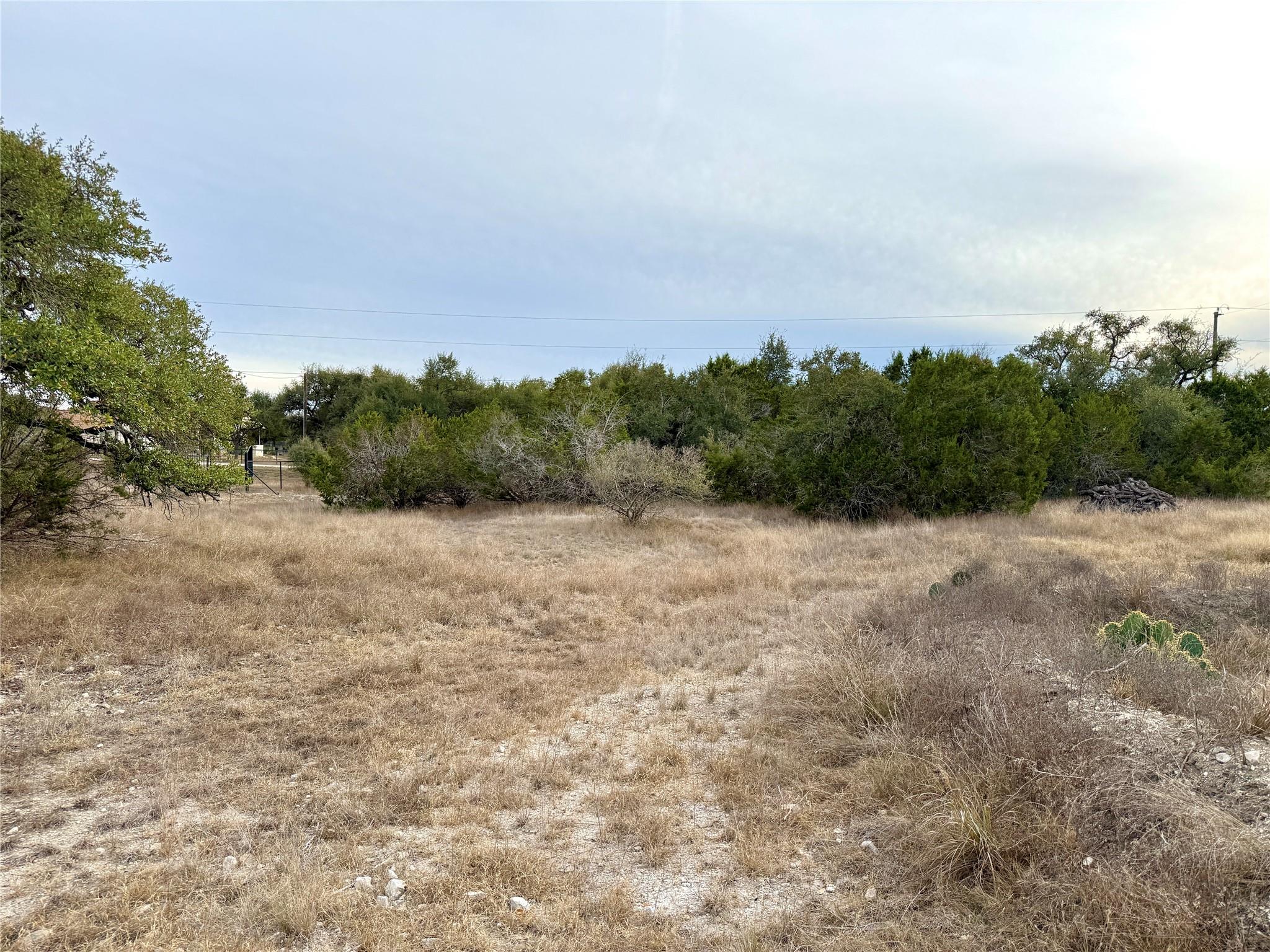 557 Abodar TRL, Spring Branch, TX 78070 photo 3