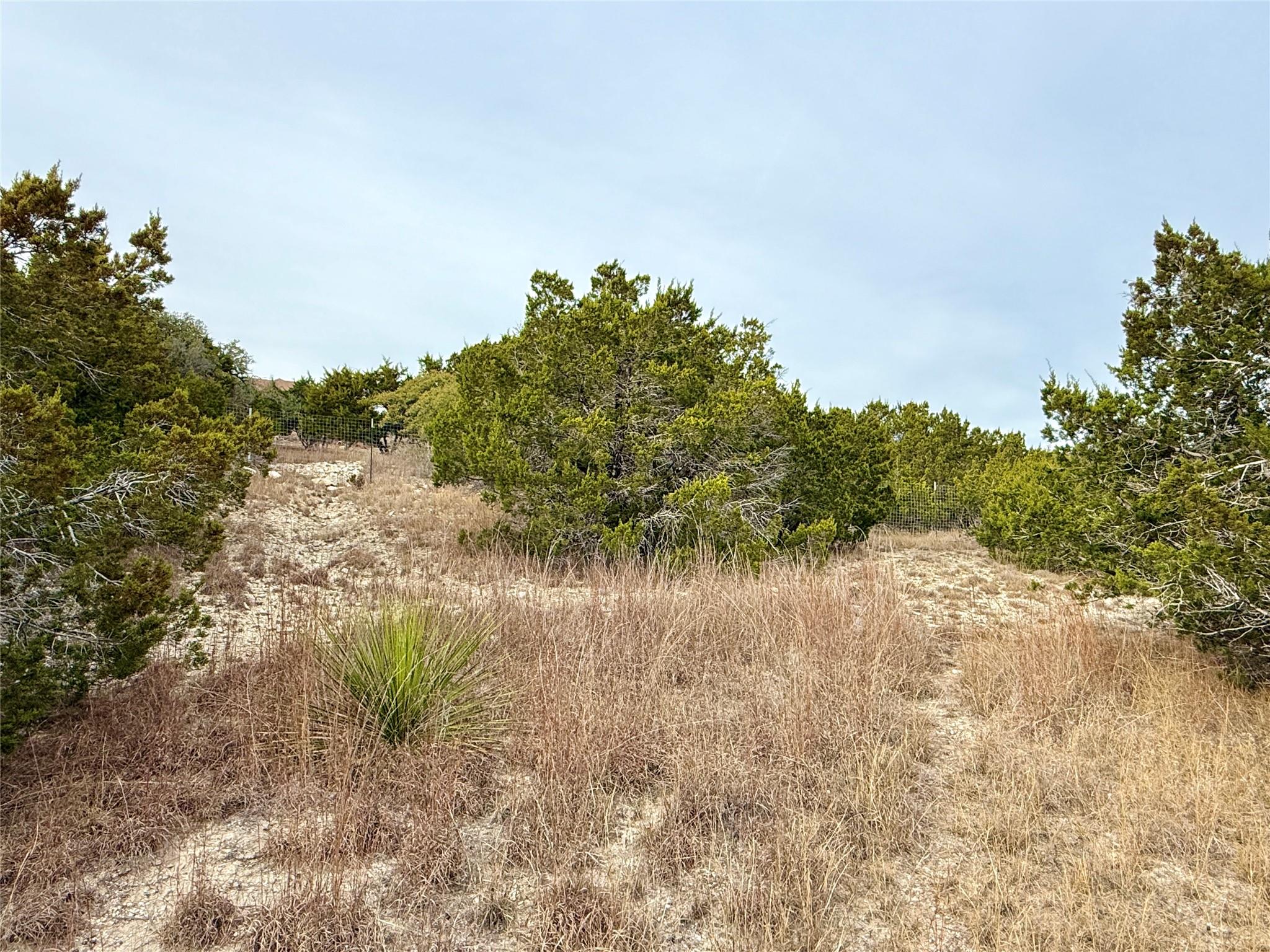 557 Abodar TRL, Spring Branch, TX 78070 photo 5