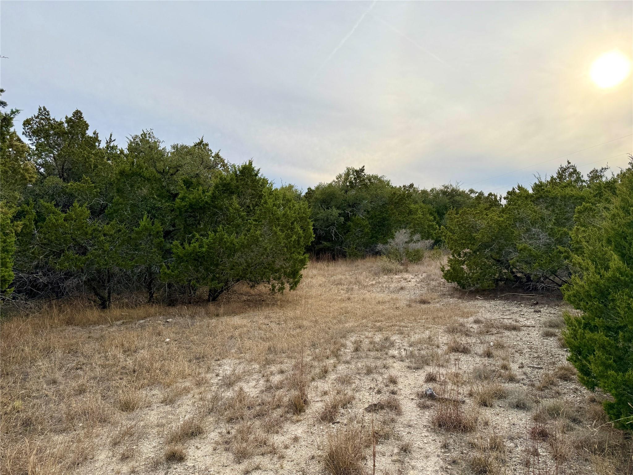 557 Abodar TRL, Spring Branch, TX 78070 photo 4