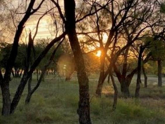 Buffalo Creek Ranch