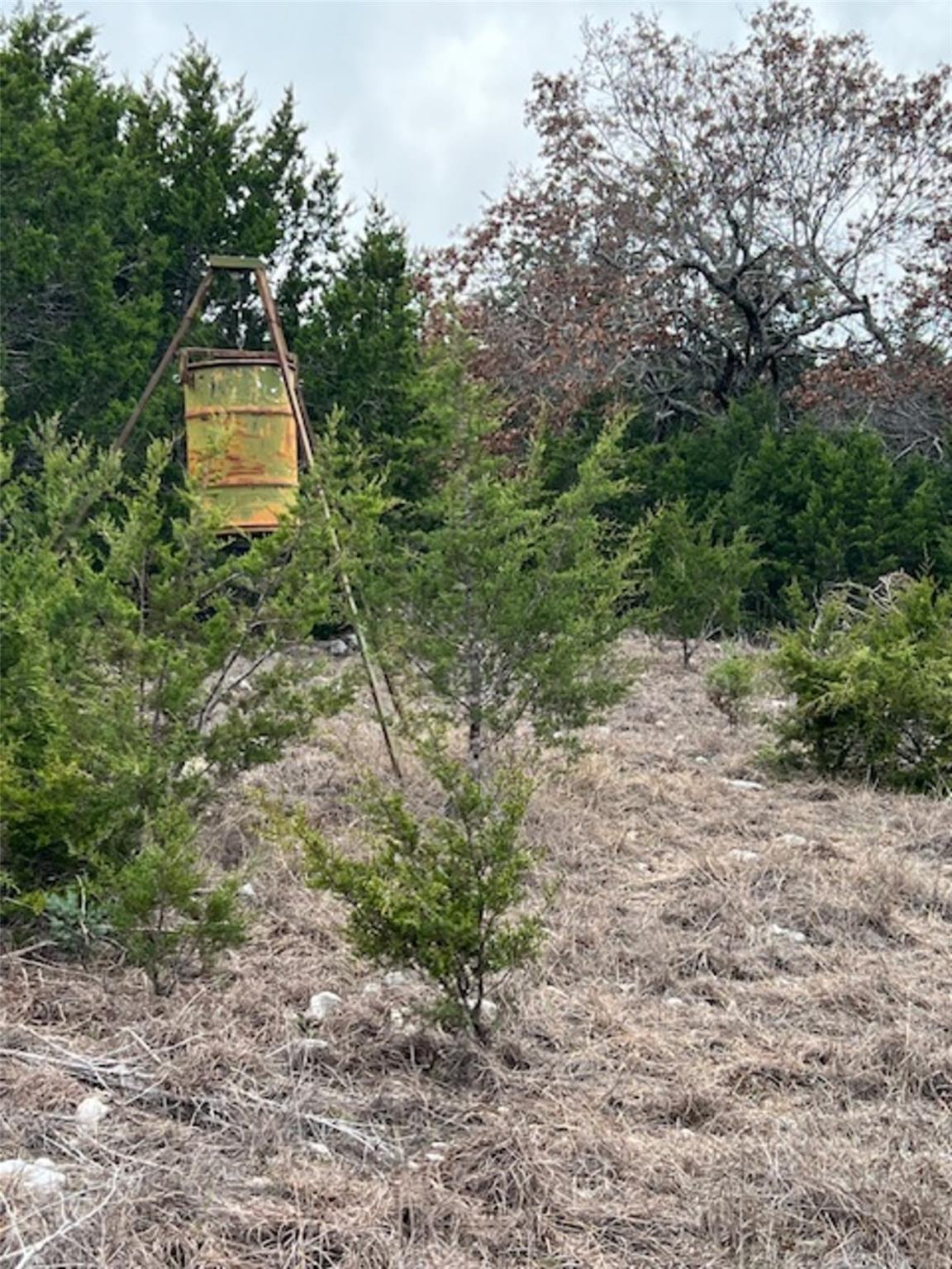 4238 E. FM 581, Lometa, TX 76853 photo 5