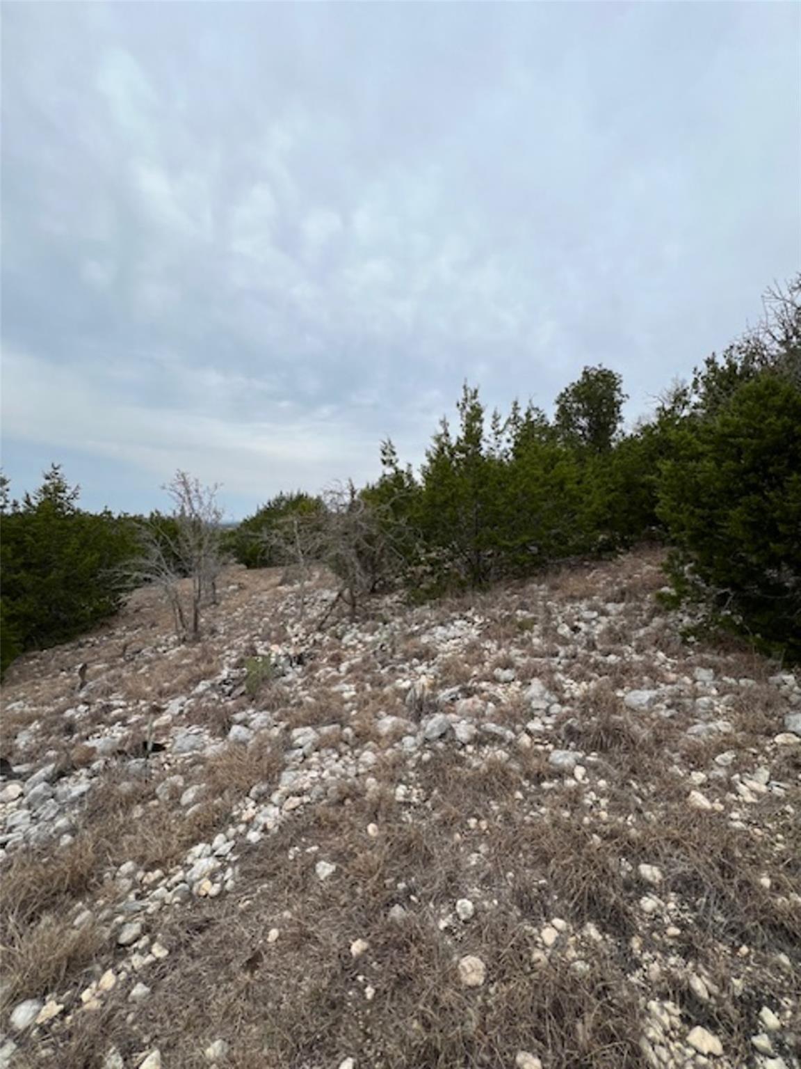 4238 E. FM 581, Lometa, TX 76853 photo 4