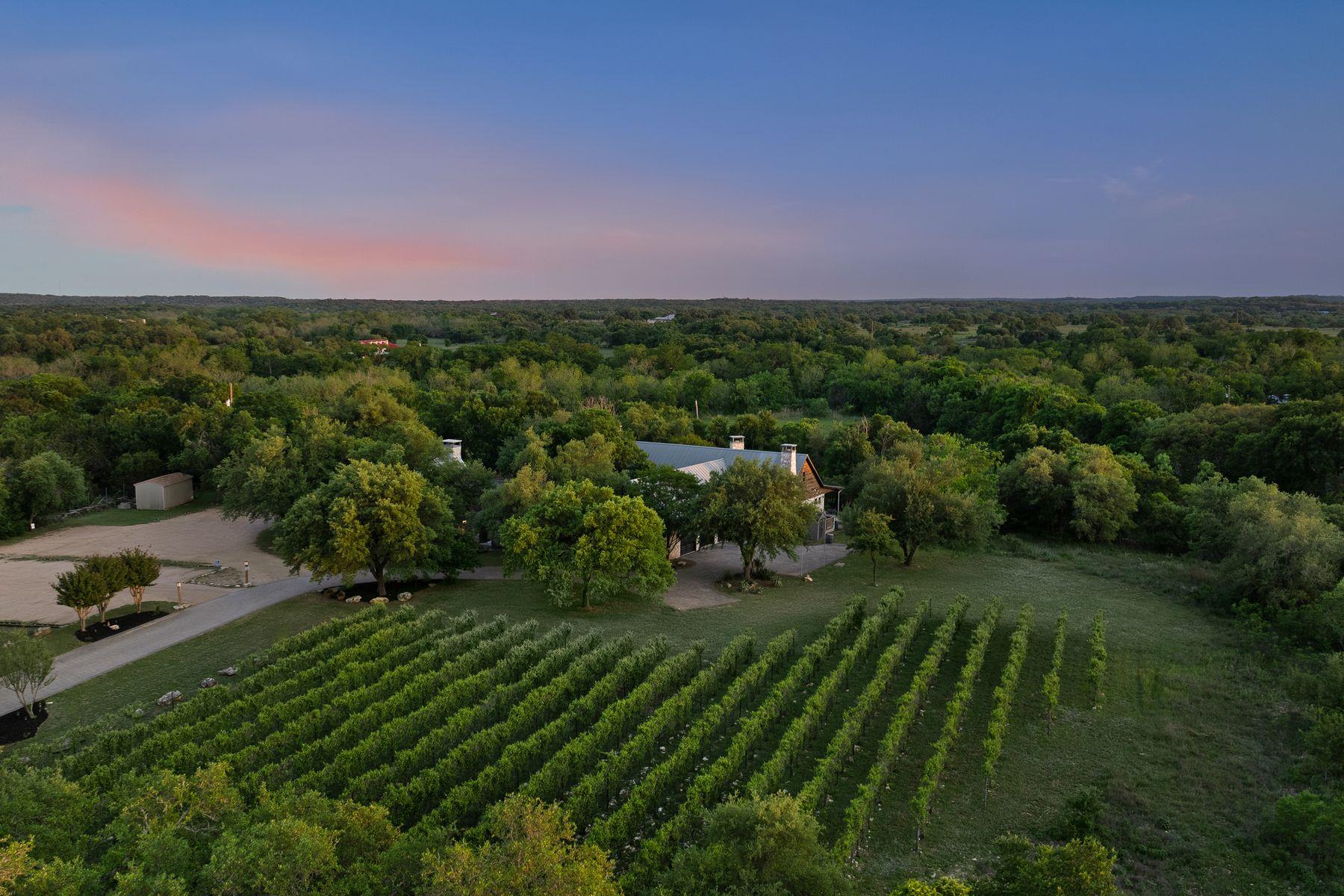 Fall Creek Vineyard