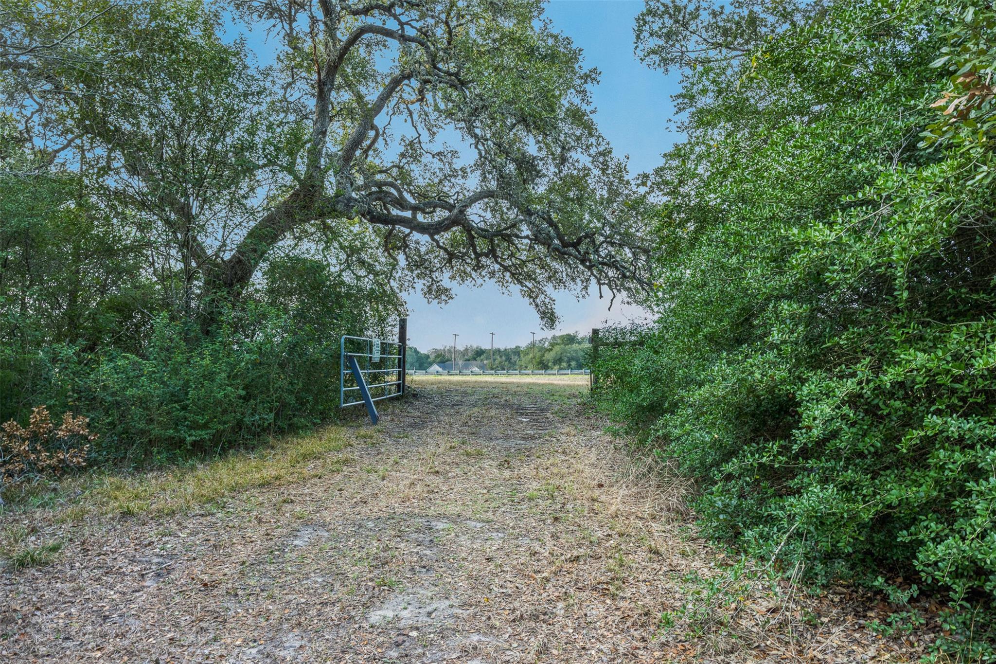 1200 Highway 71 BYP, La Grange, TX 78945 photo 3