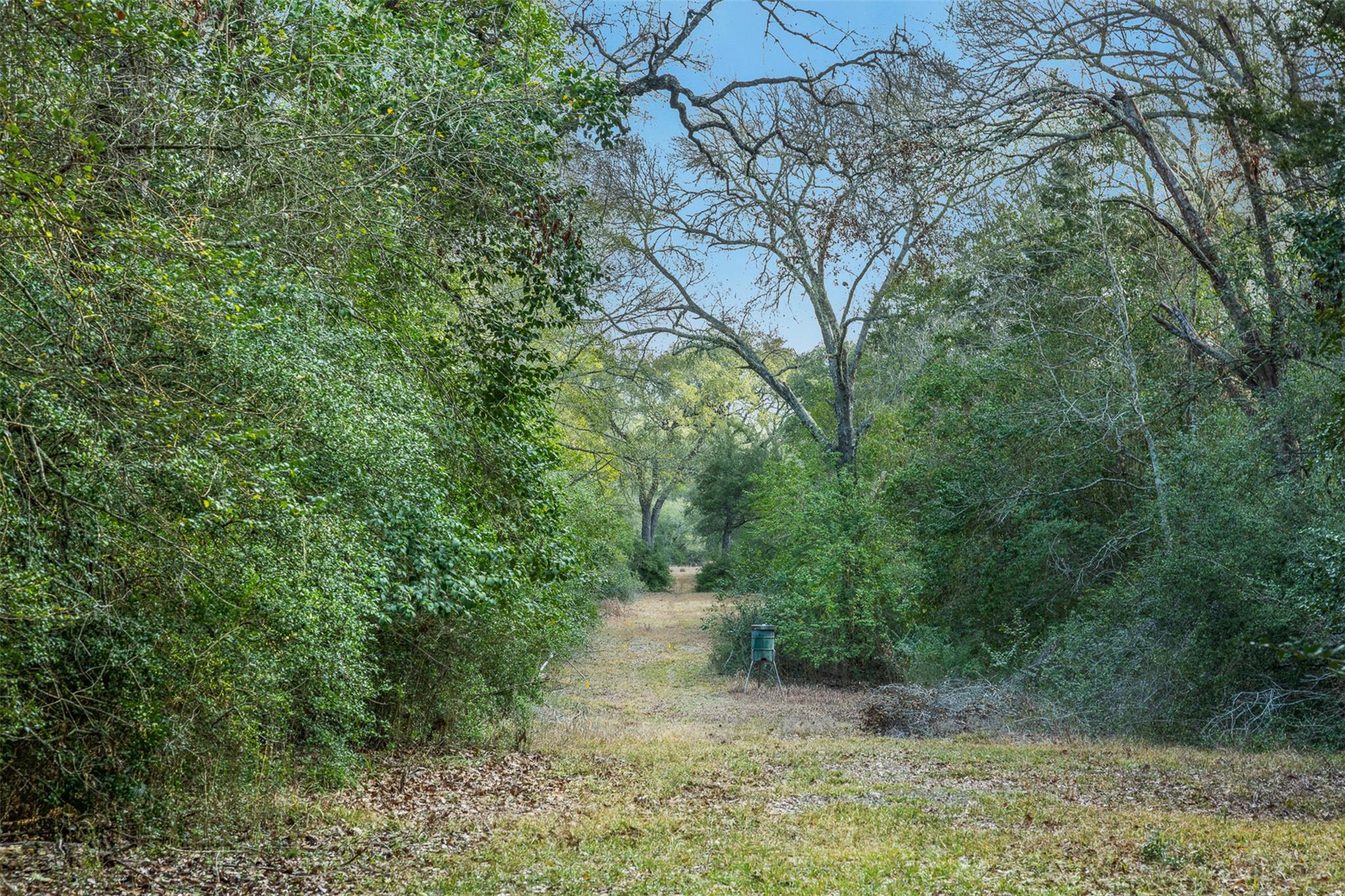 1200 Highway 71 BYP, La Grange, TX 78945 photo 5