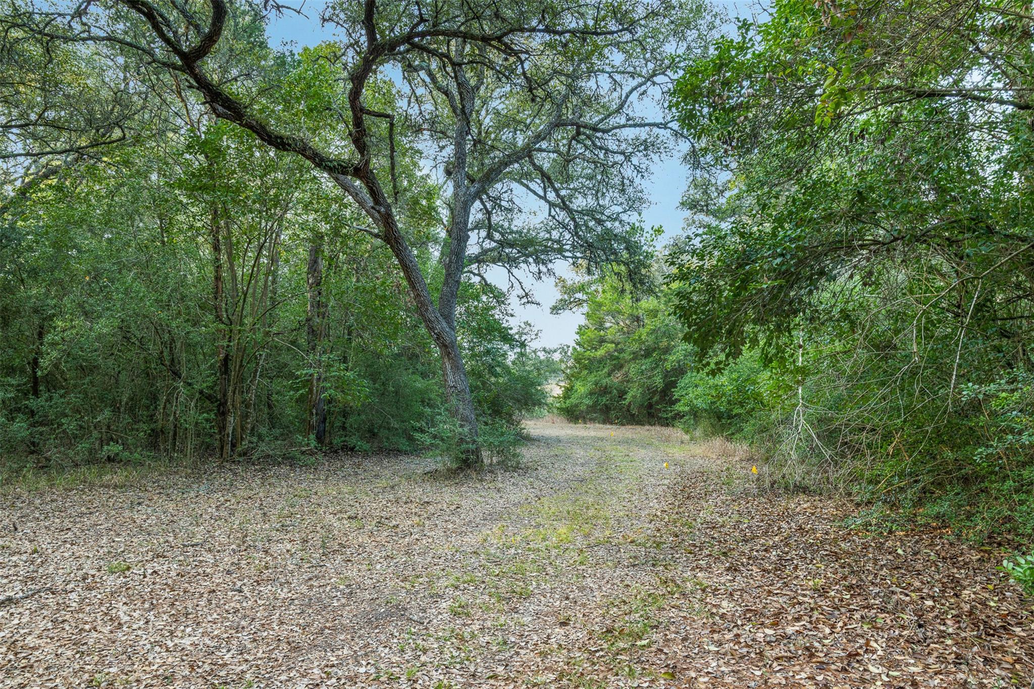 1200 Highway 71 BYP, La Grange, TX 78945 photo 4
