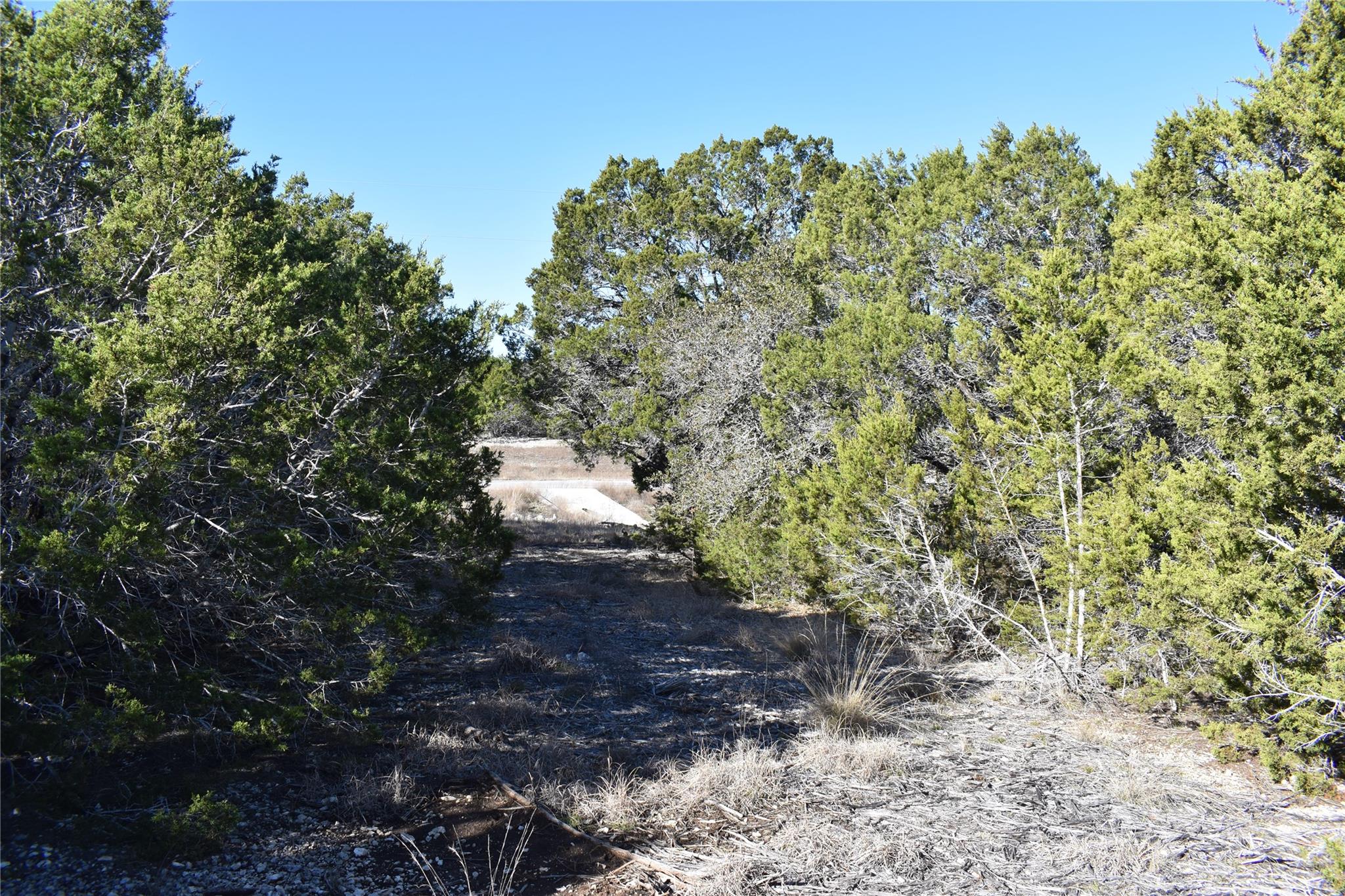 Lot 35 Riparian Elm RD, Bertram, TX 78605 photo 3