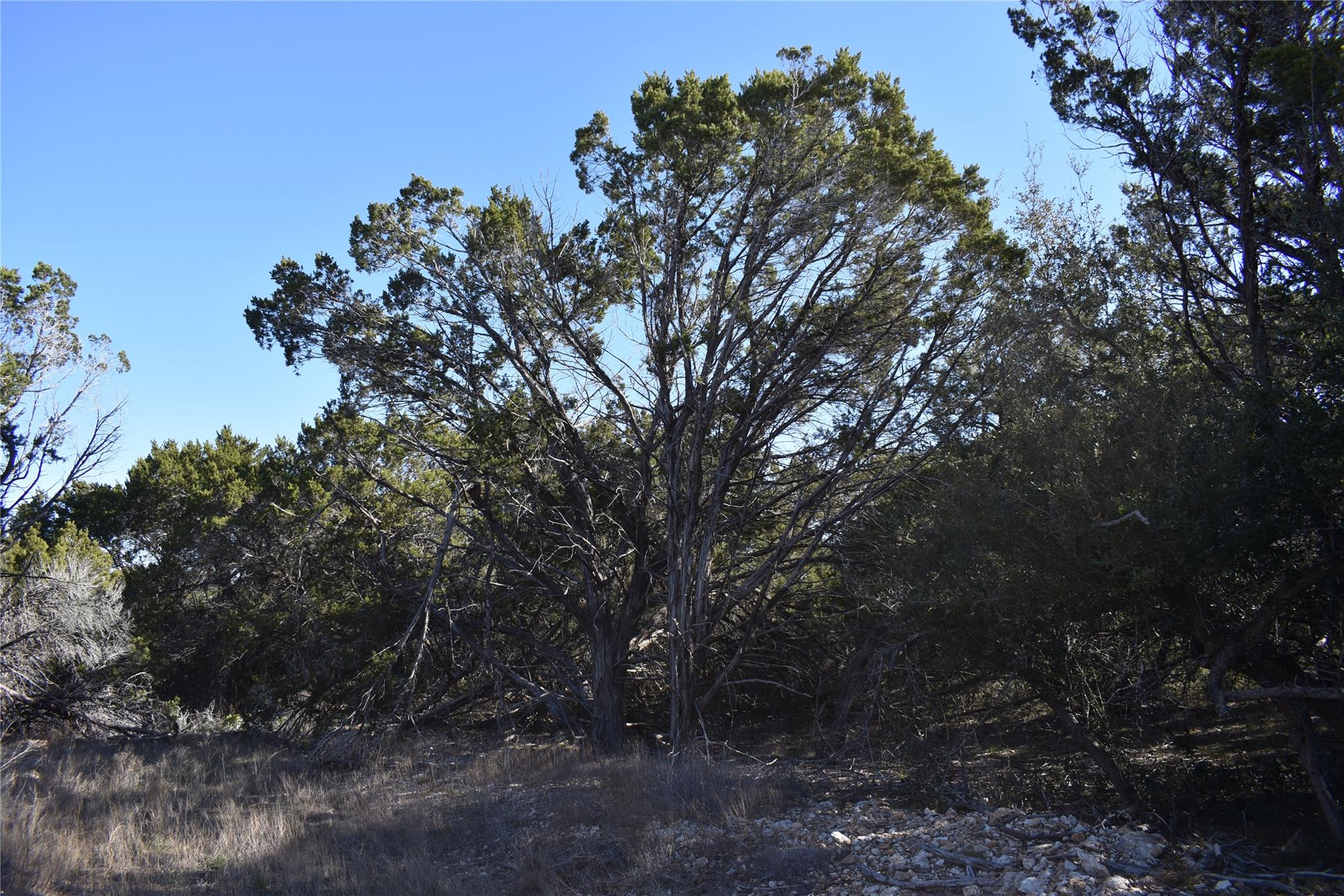 Lot 35 Riparian Elm RD, Bertram, TX 78605 photo 5