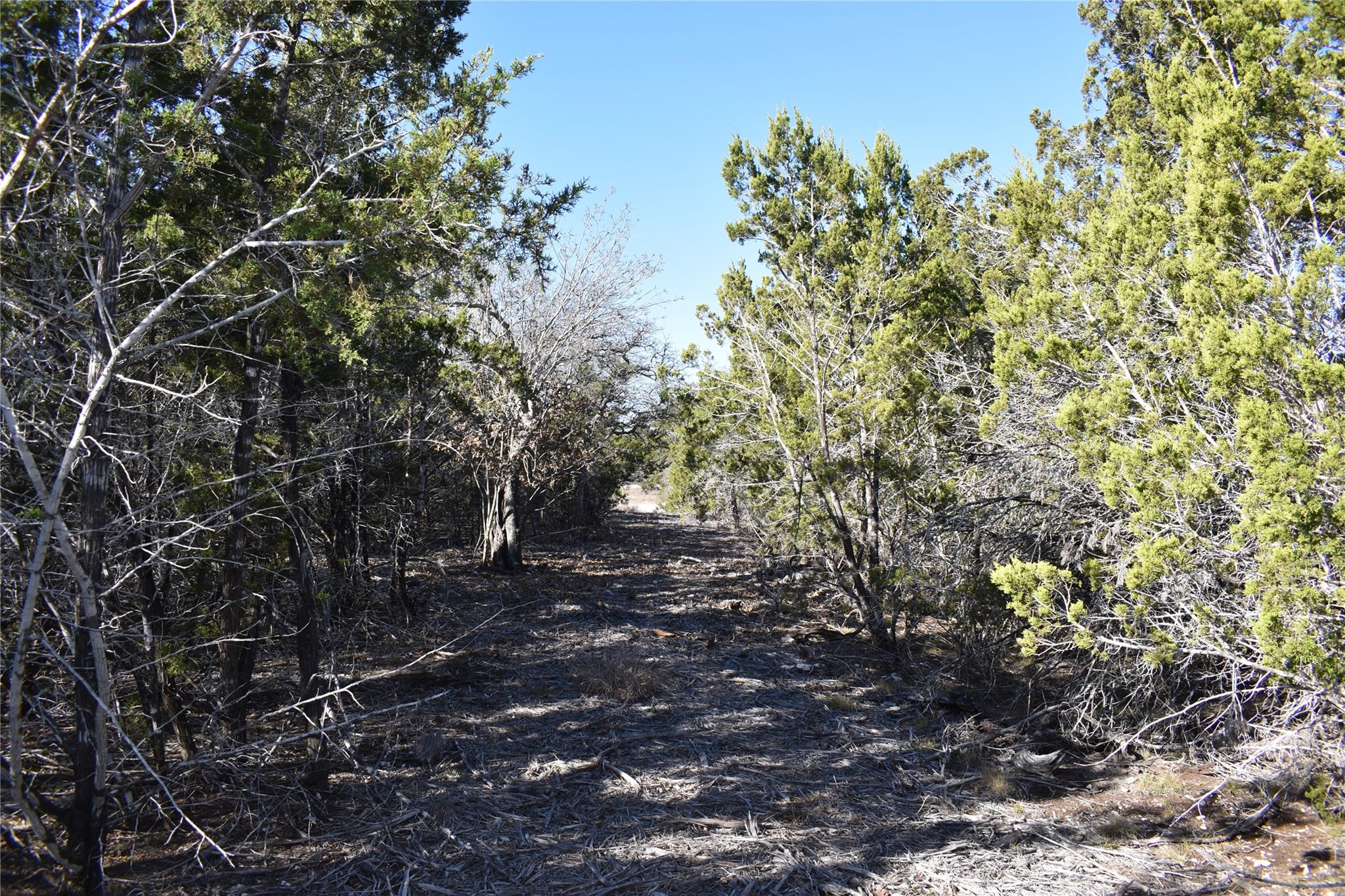 Lot 35 Riparian Elm RD, Bertram, TX 78605 photo 4