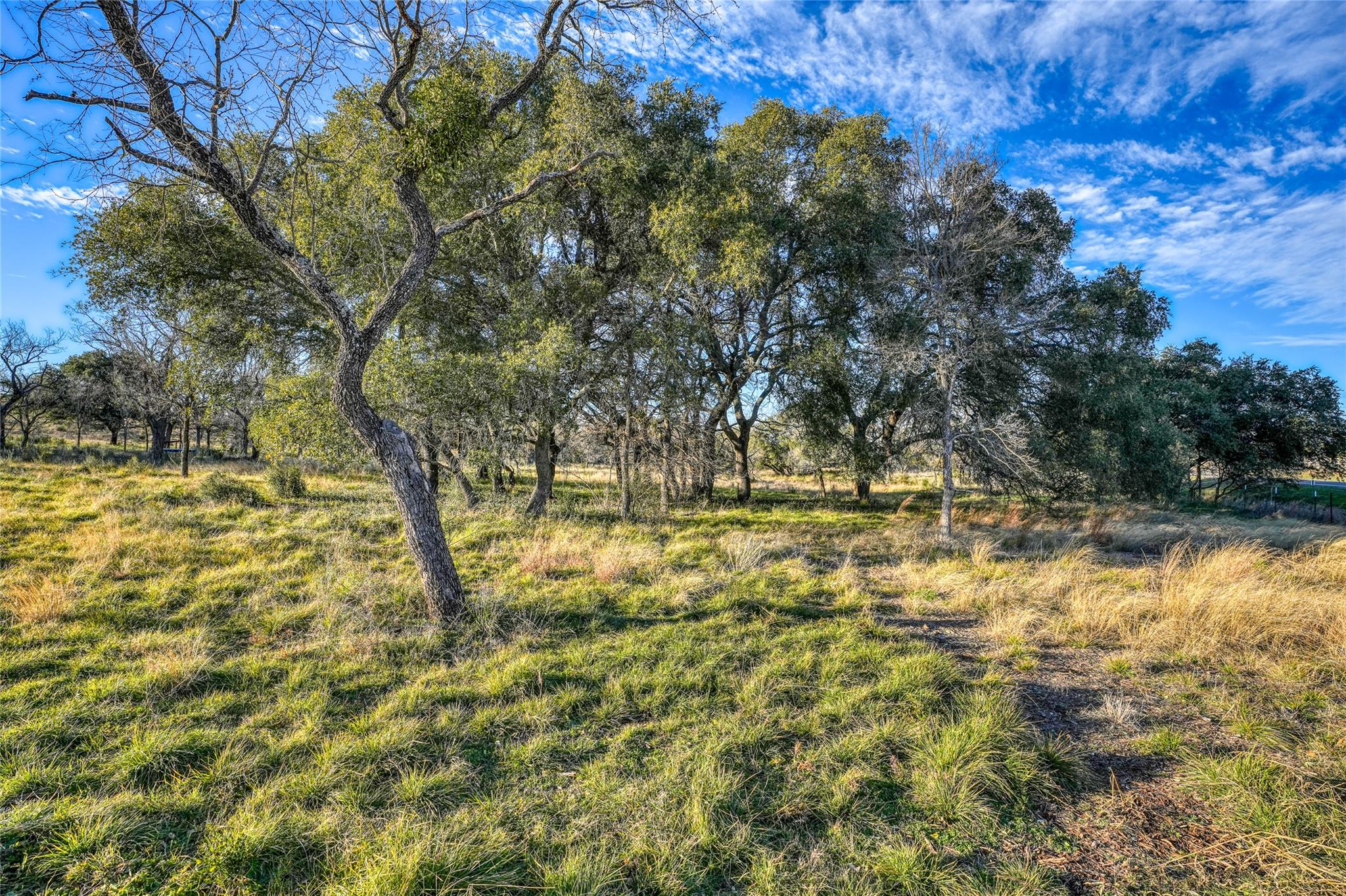 1010 Ranch Road 2831, Horseshoe Bay, TX 78657 photo 3