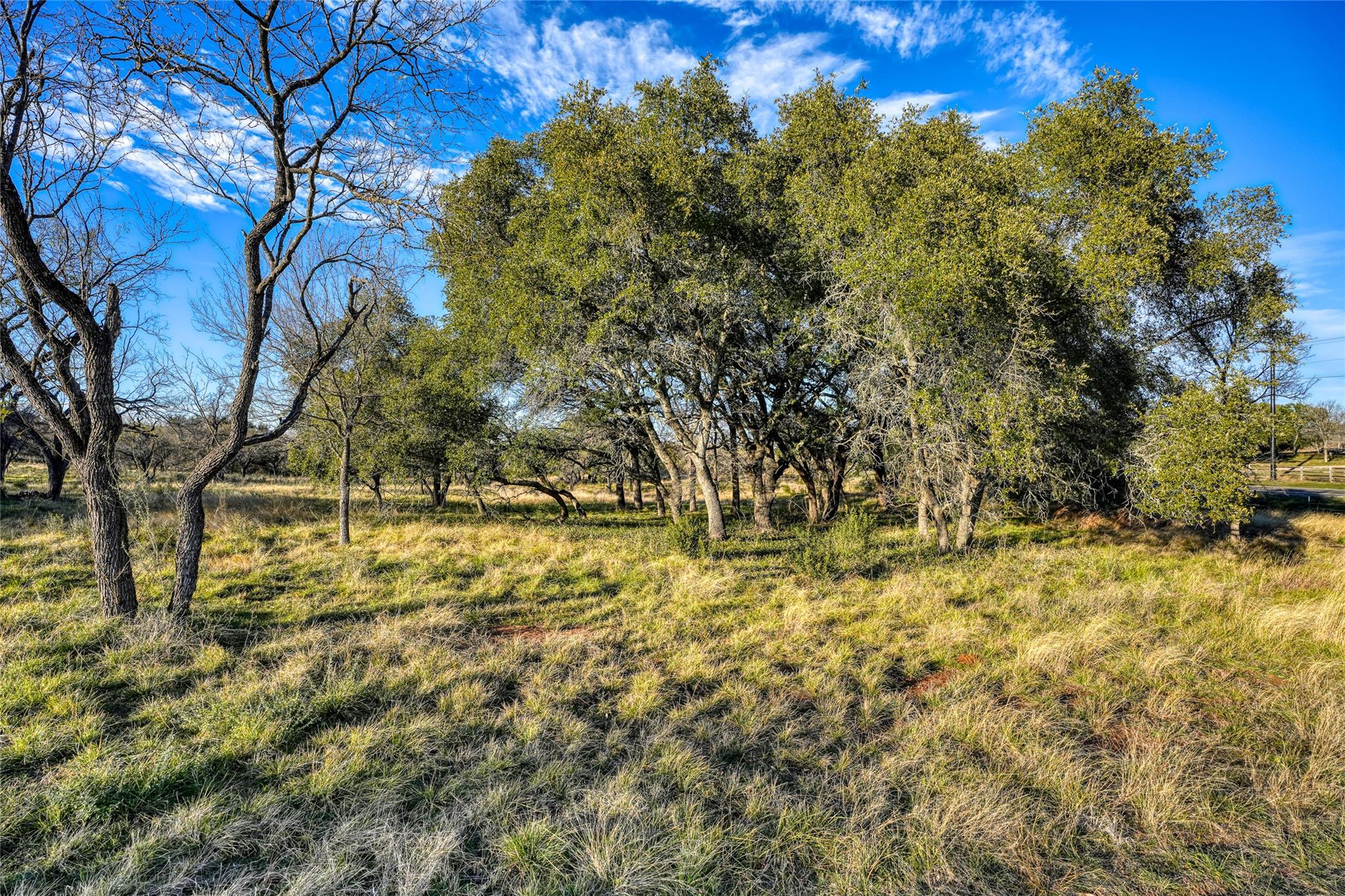 1010 Ranch Road 2831, Horseshoe Bay, TX 78657 photo 4