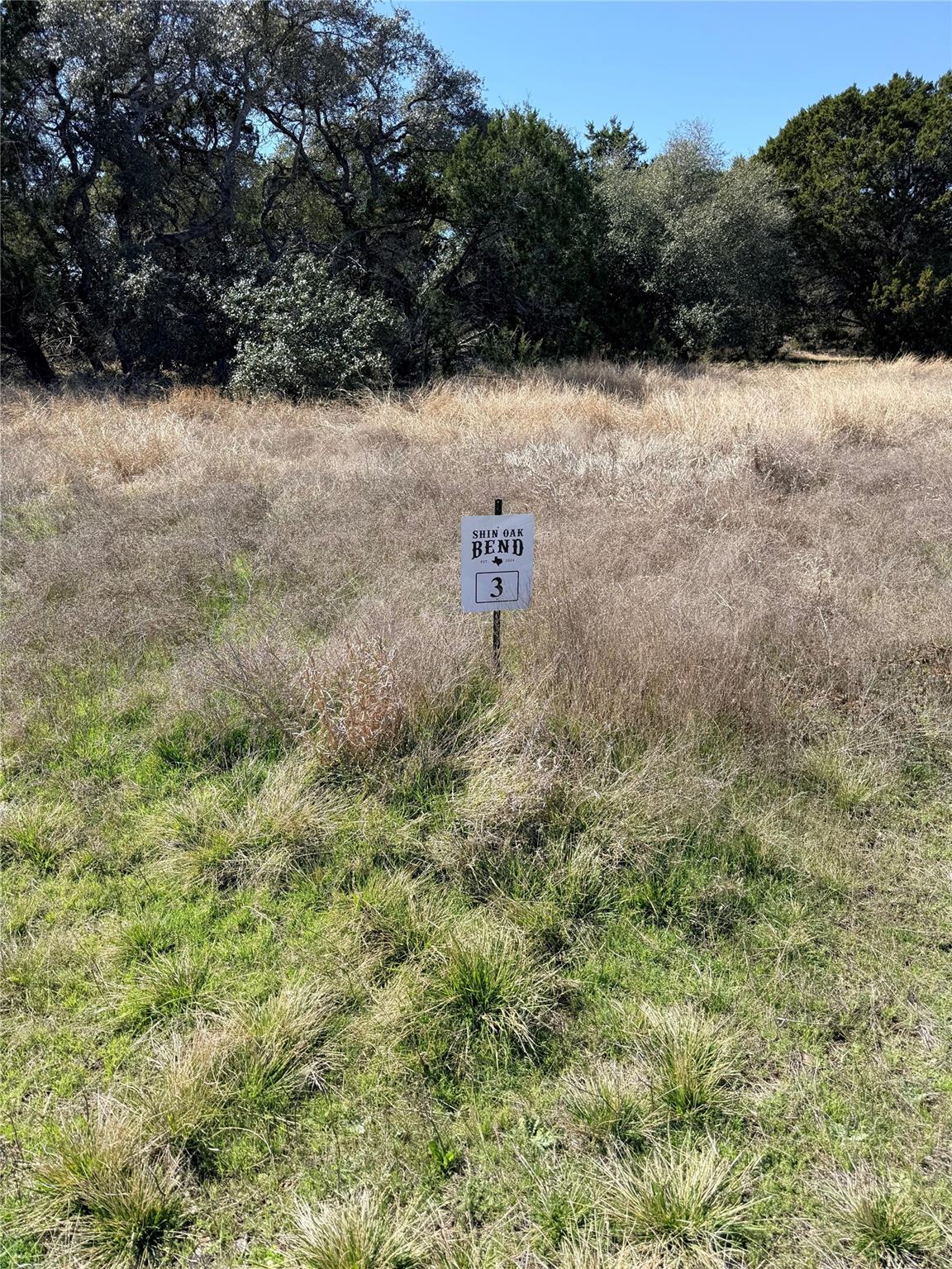 00 Riparian Elm RD #3, Bertram, TX 78605 photo 2