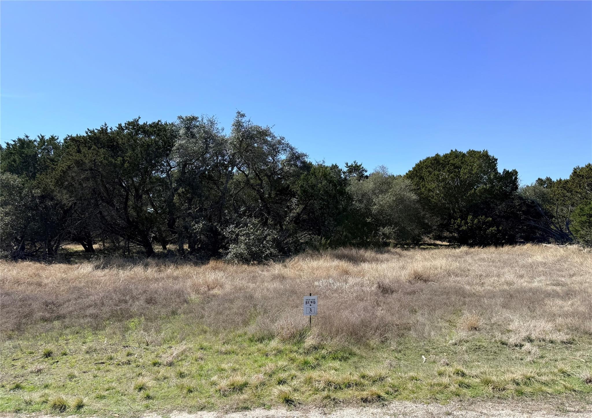 00 Riparian Elm RD #3, Bertram, TX 78605 photo 3