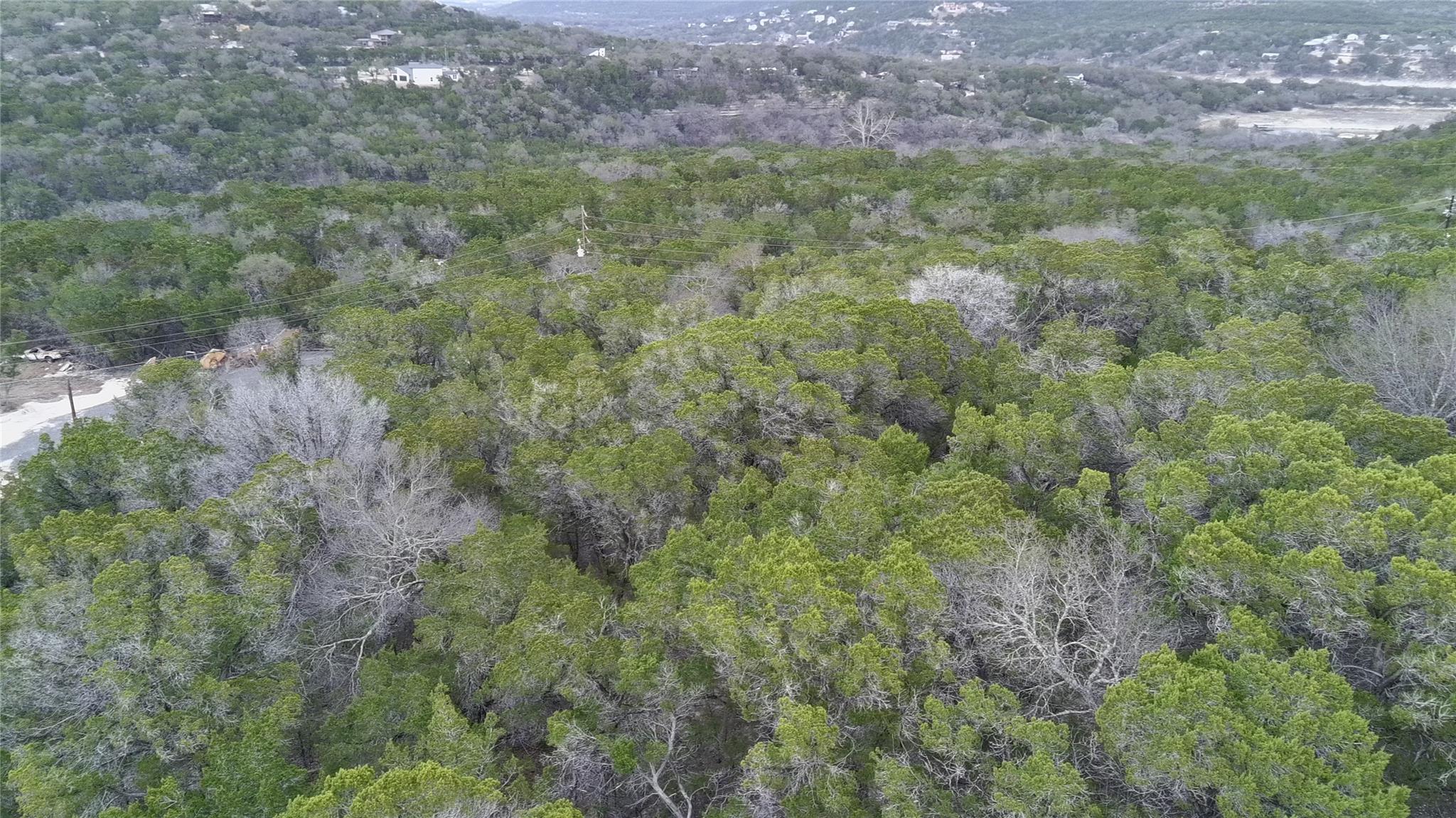 TBD Reed Parks RD, Jonestown, TX 78645 photo 5