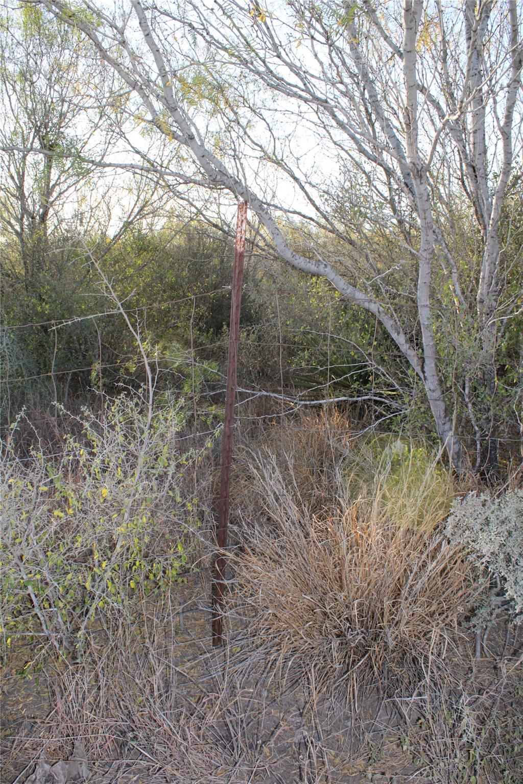 0000 CR 339, Jourdanton, TX 78026 photo 3