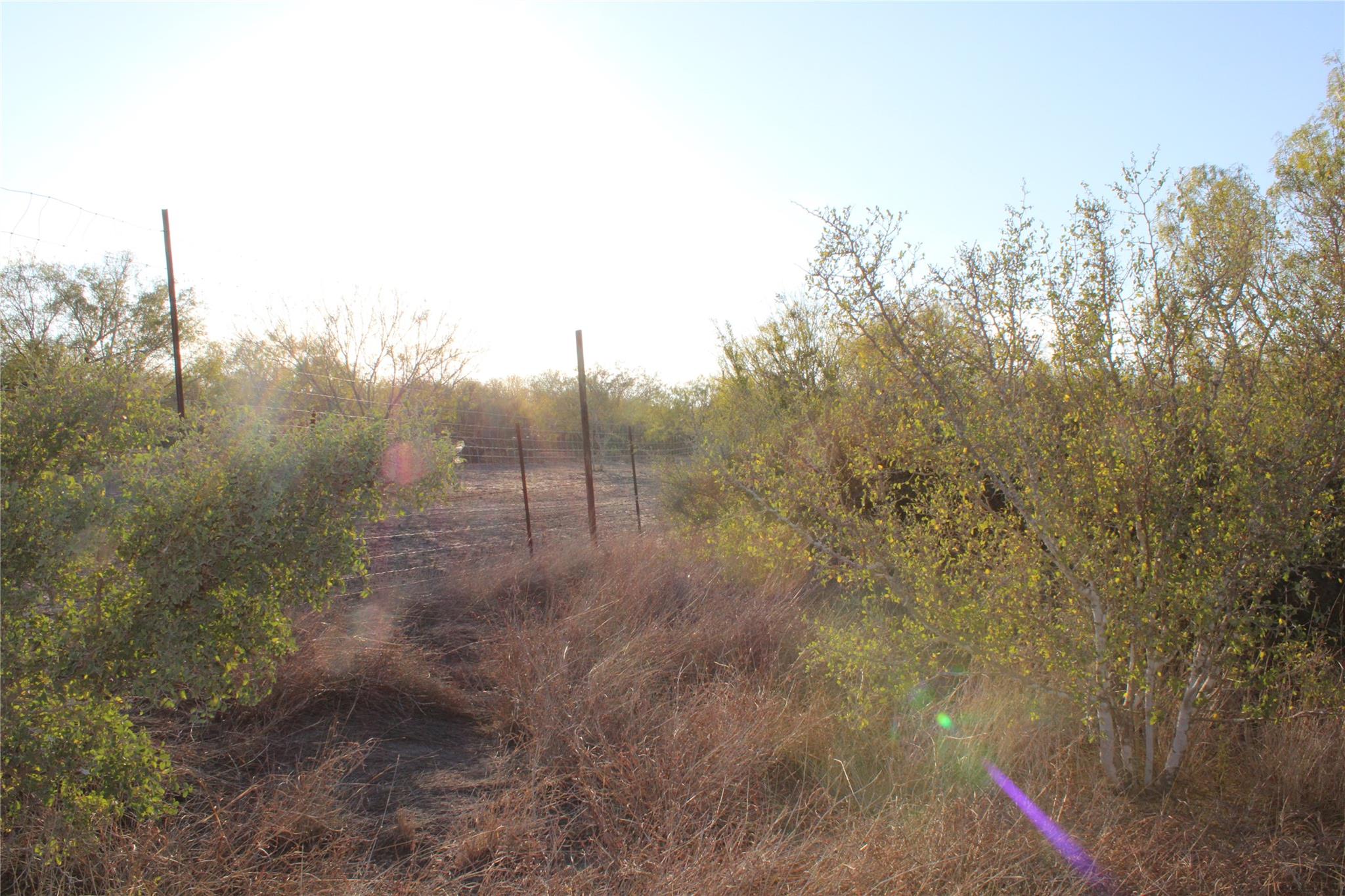 0000 CR 339, Jourdanton, TX 78026 photo 4