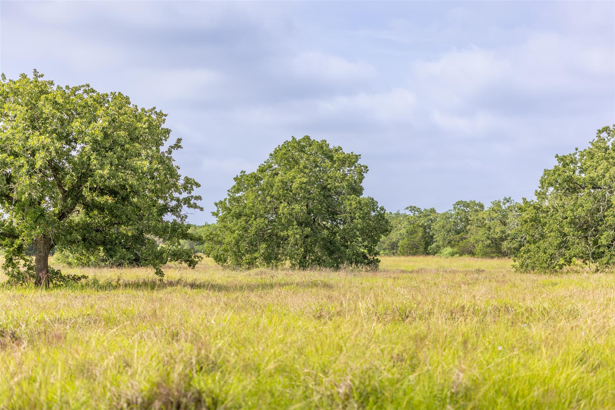 TBD US Highway 77, Giddings, TX 78942 photo 4