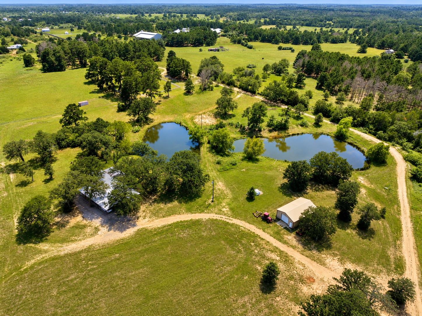 Bastrop Town Tr