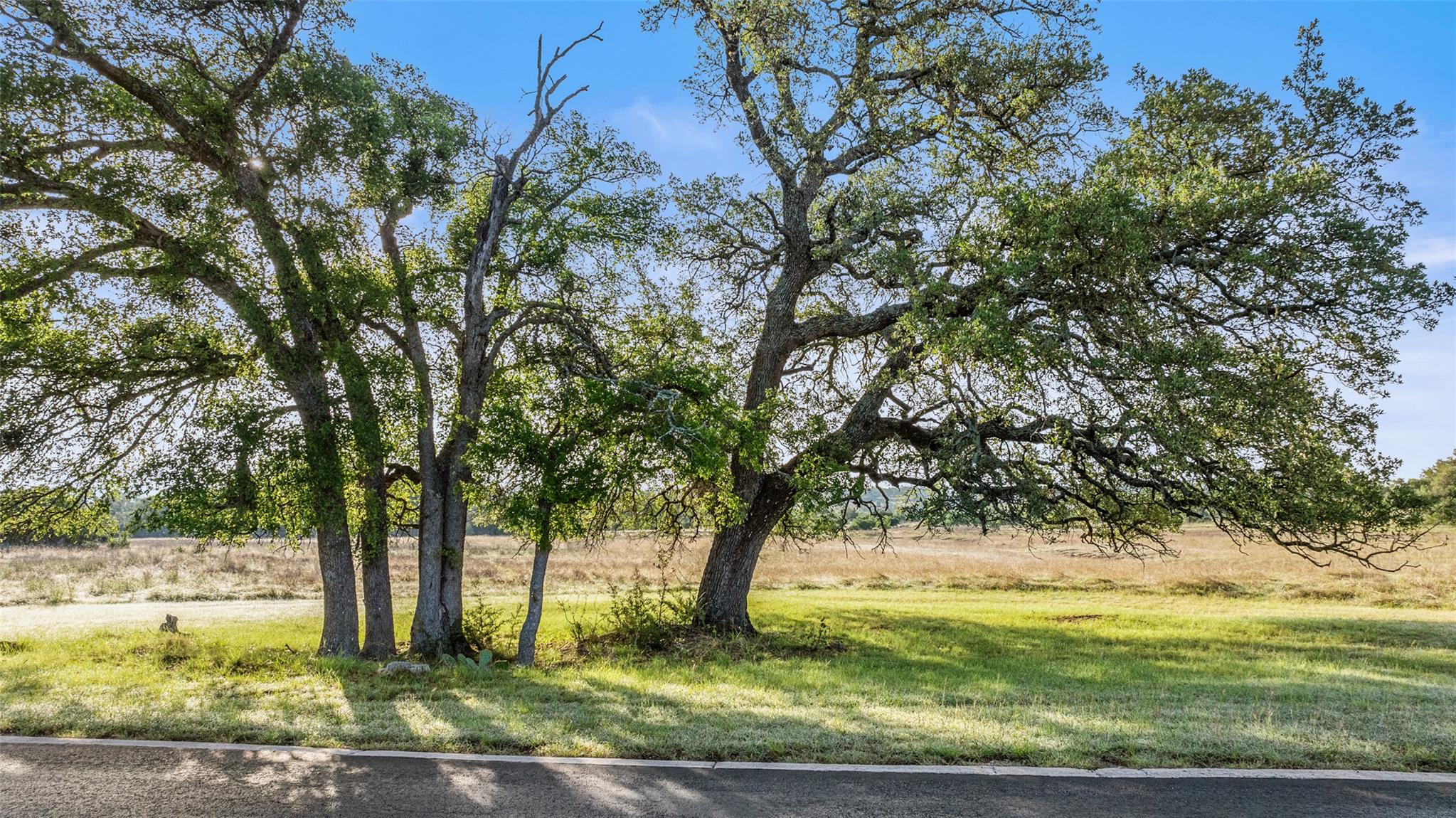 Lot 4 Vista Ridge DR, Round Mountain, TX 78663 photo 2