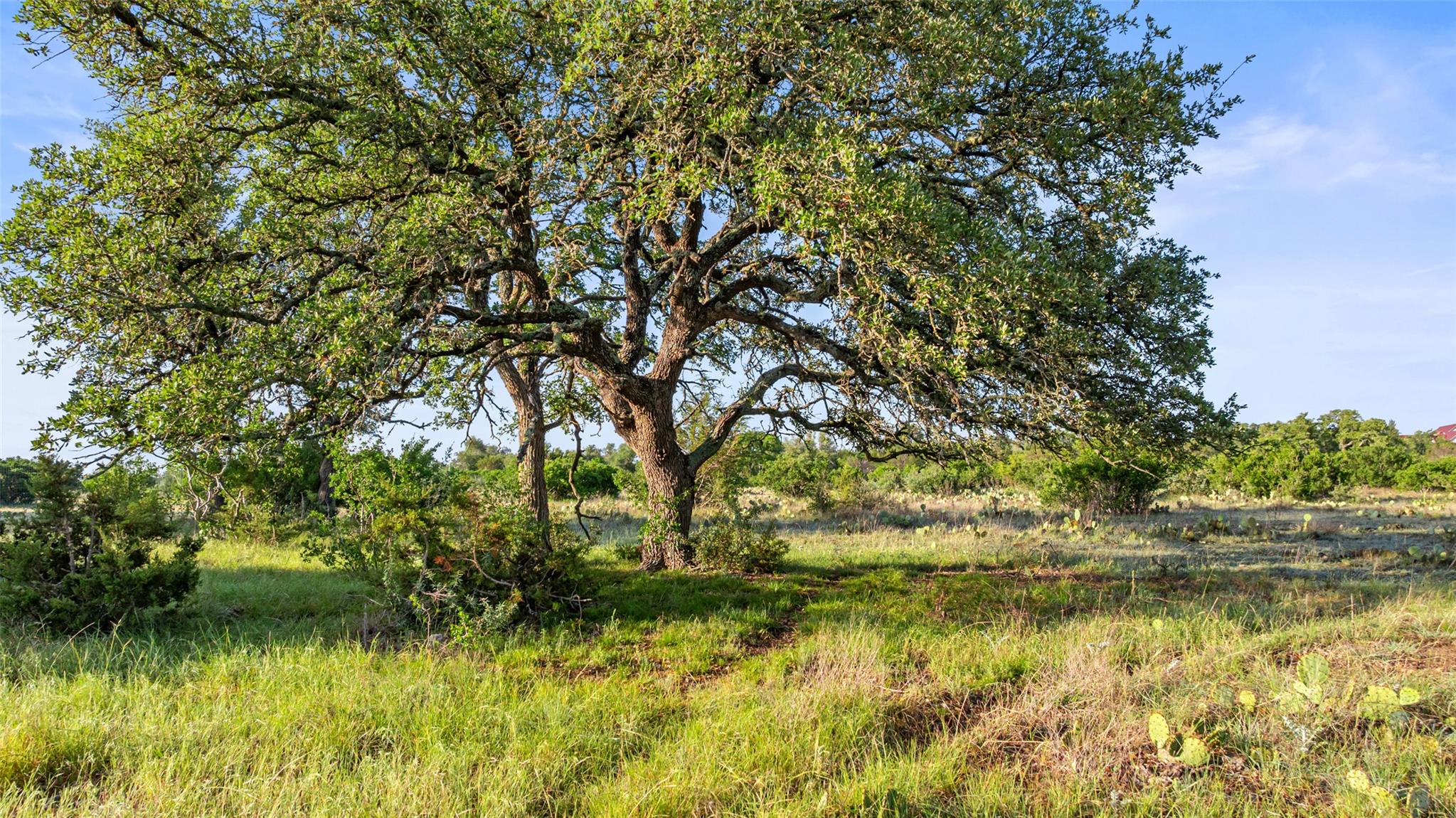 Lot 4 Vista Ridge DR, Round Mountain, TX 78663 photo 5