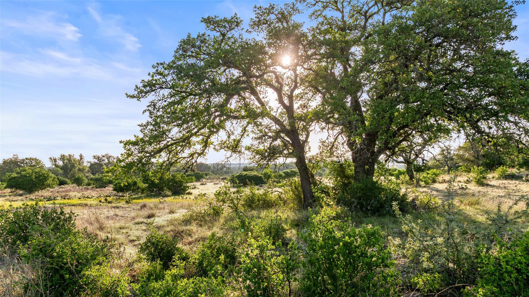 Lot 4 Vista Ridge DR, Round Mountain, TX 78663 photo 4