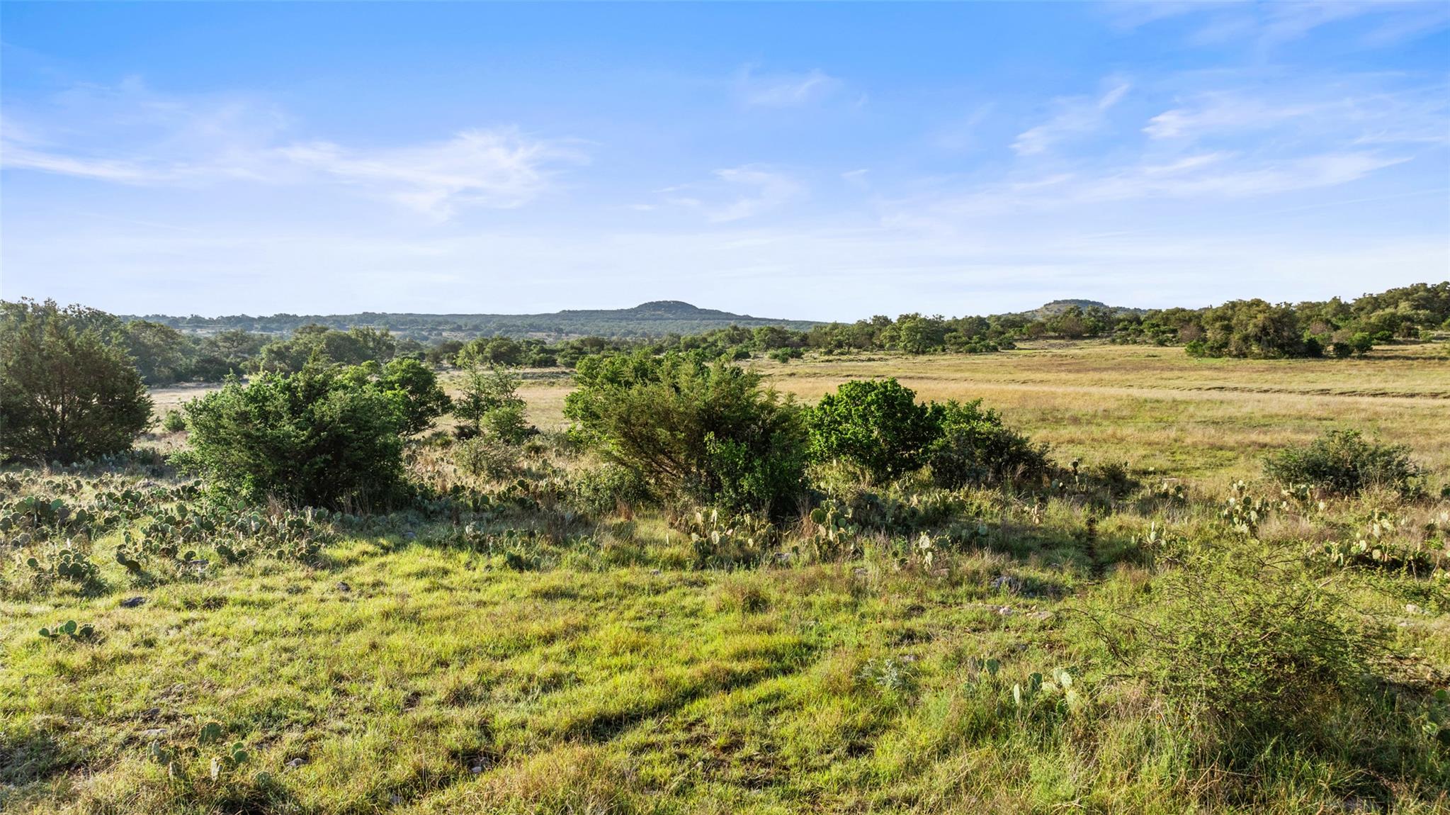 The Vistas at Round Mountain