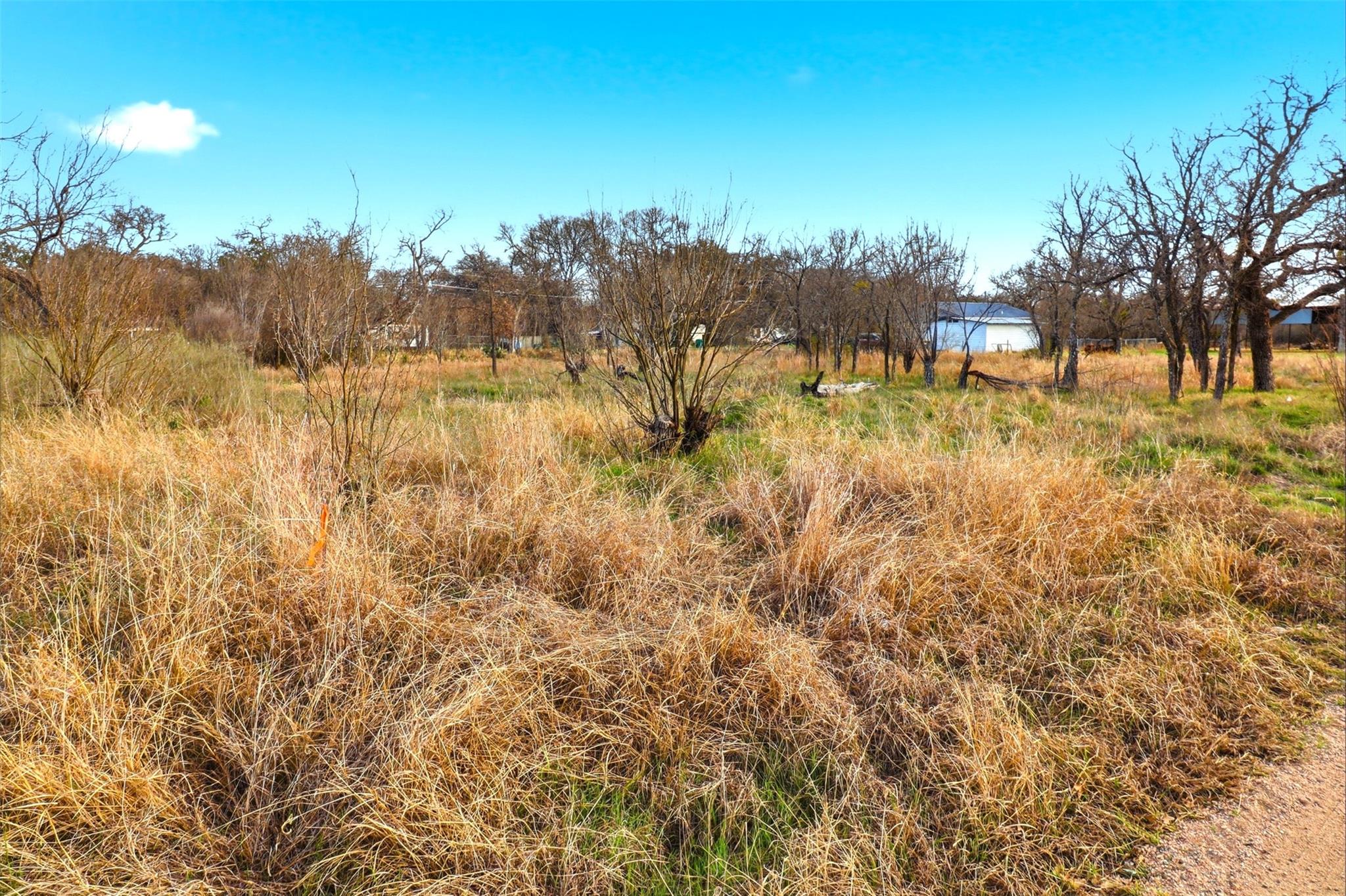 1304 Shady Forest DR, Granite Shoals, TX 78654 photo 3