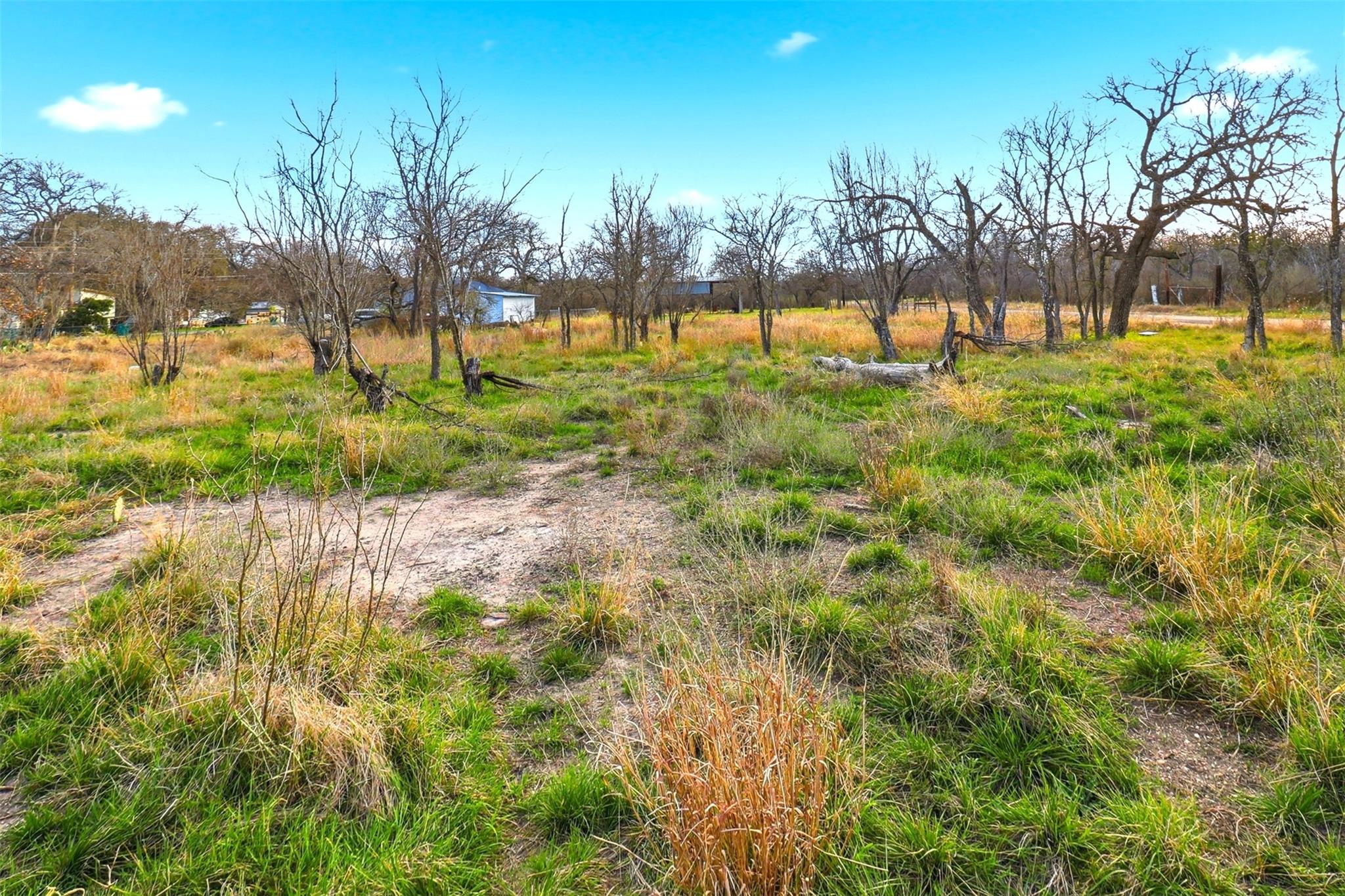 1304 Shady Forest DR, Granite Shoals, TX 78654 photo 4