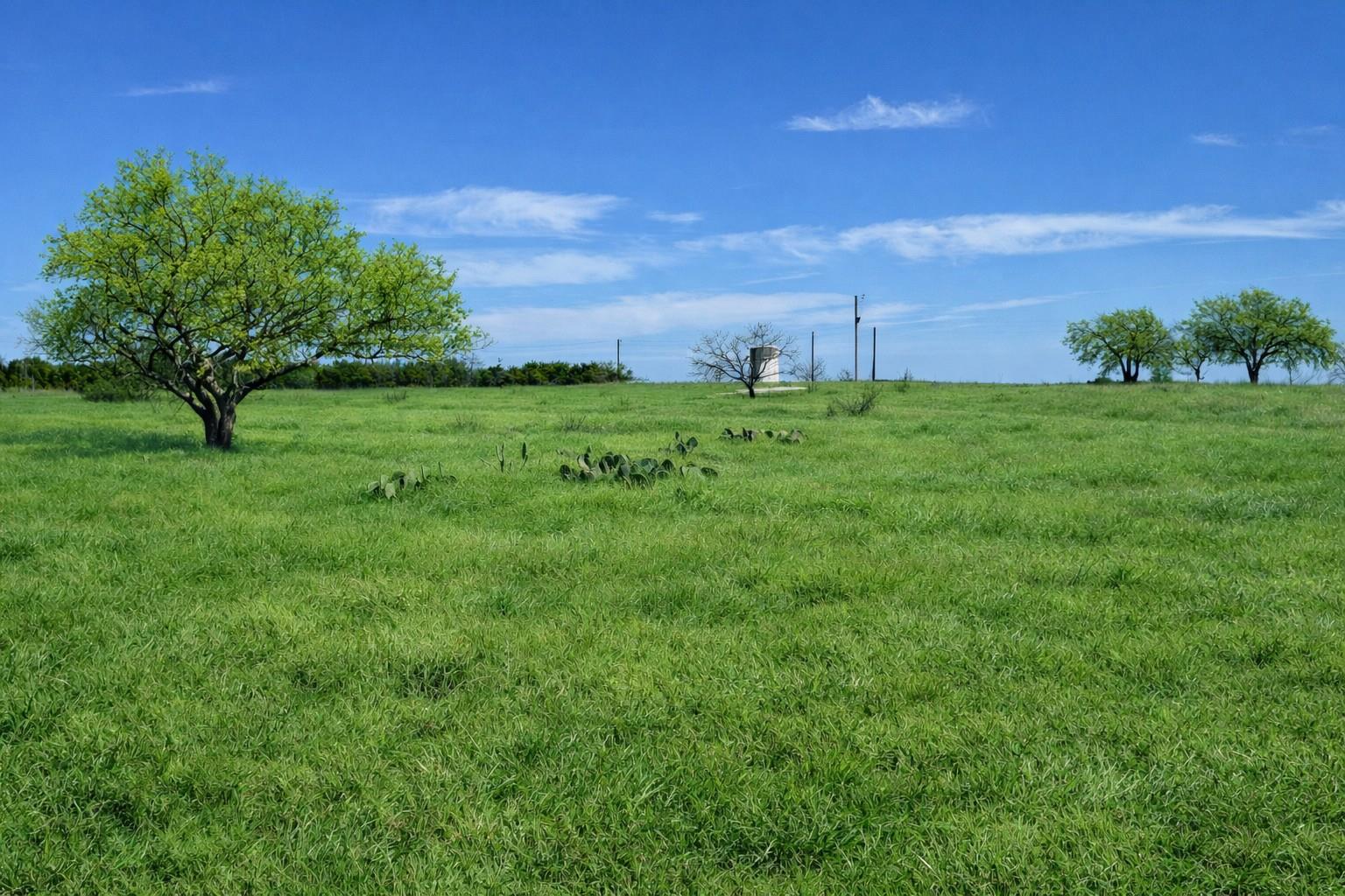 TBD View CIR, Lampasas, TX 76550 photo 3