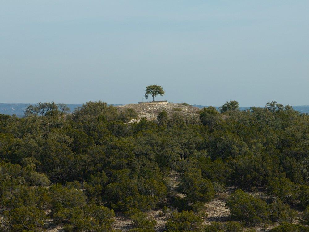 6026 Sentry PT, Fischer, TX 78623 photo 4
