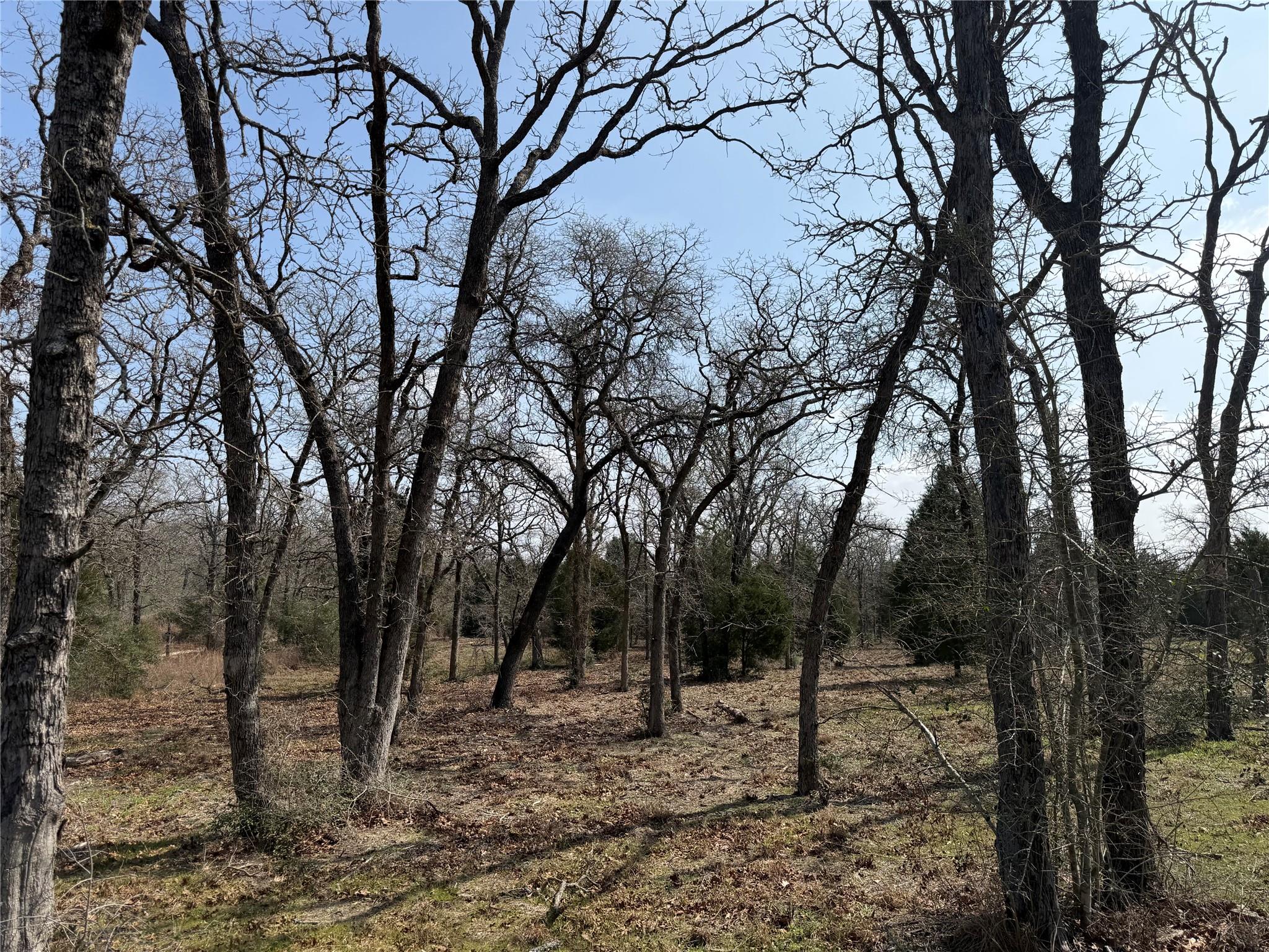 TBD N County Line RD, Elgin, TX 78621 photo 2