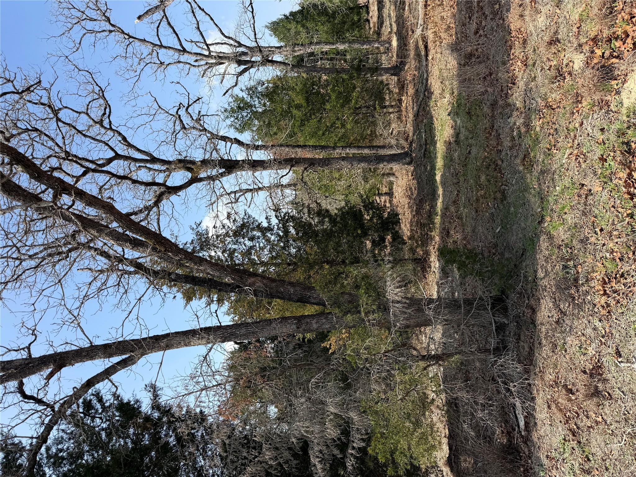 TBD N County Line RD, Elgin, TX 78621 photo 3