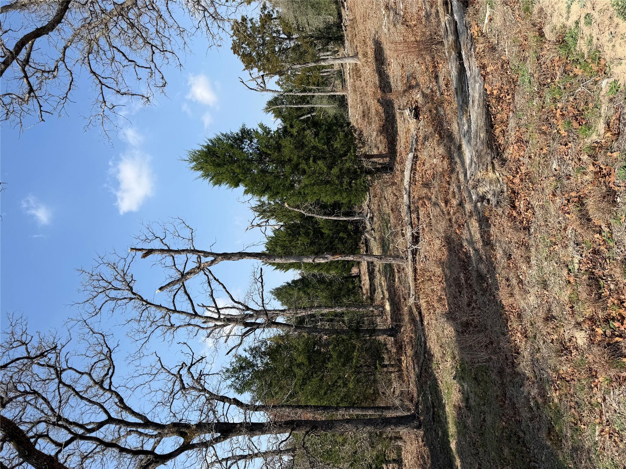 TBD N County Line RD, Elgin, TX 78621 photo 5