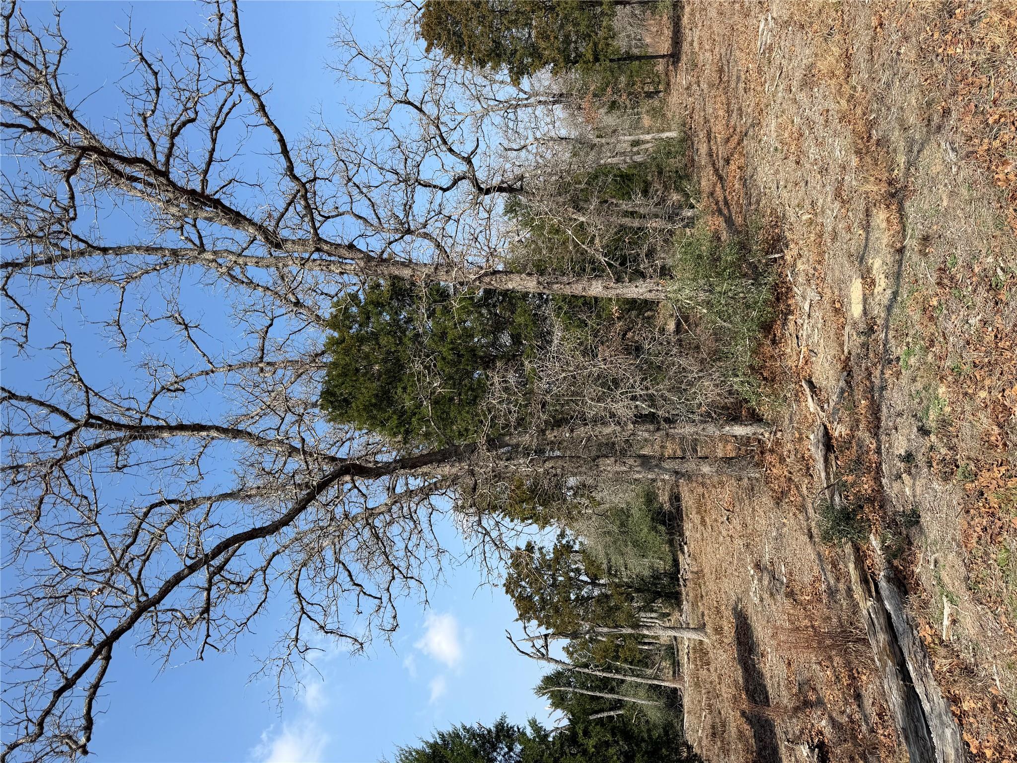 TBD N County Line RD, Elgin, TX 78621 photo 4