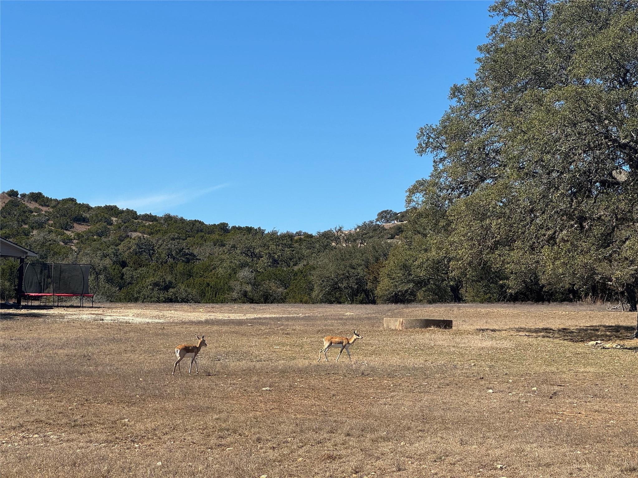 0 Majestic Creek DR #Lot 10, Blanco, TX 78606 photo 5