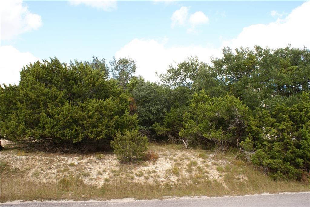 Lot 31 Panorama DR, Dripping Springs, TX 78620 photo 2