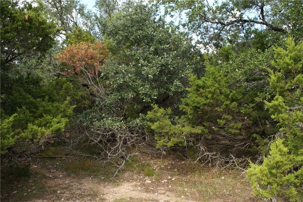 Lot 31 Panorama DR, Dripping Springs, TX 78620 photo 3
