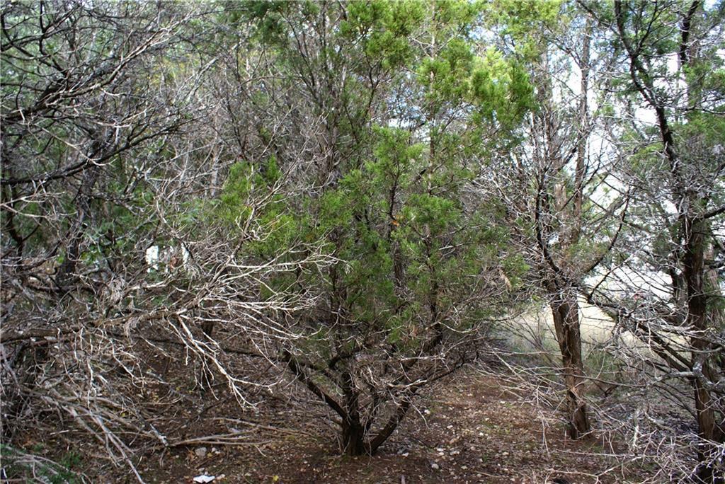 Lot 31 Panorama DR, Dripping Springs, TX 78620 photo 5
