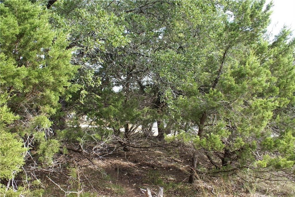 Lot 31 Panorama DR, Dripping Springs, TX 78620 photo 4