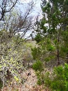 20801 Jamestown CV, Leander, TX 78645 photo 3