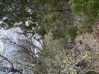 20801 Jamestown CV, Leander, TX 78645 photo 5