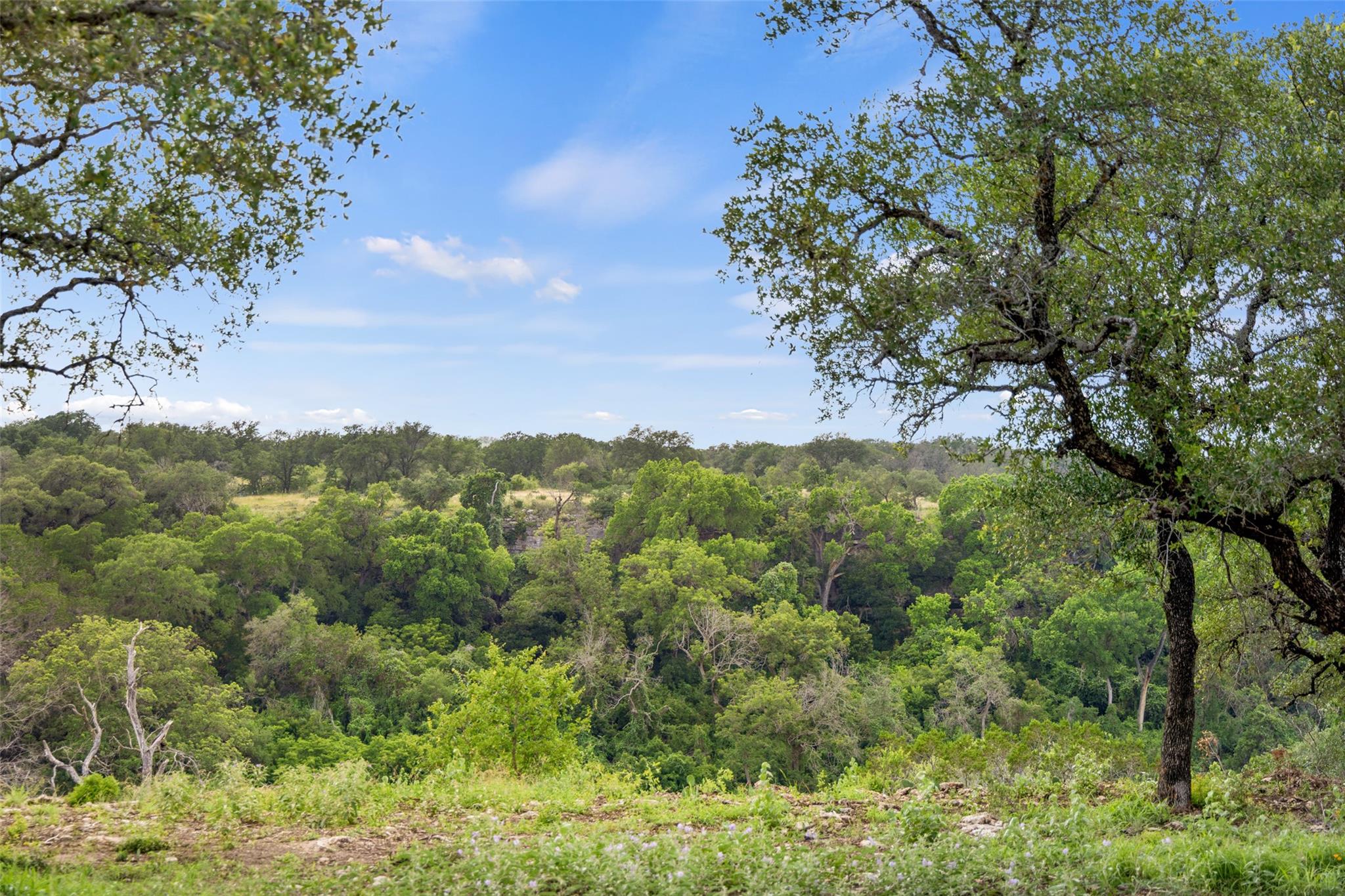 Lot 7 Pedernales Canyon TRL #Lot 7, Spicewood, TX 78669 photo 3