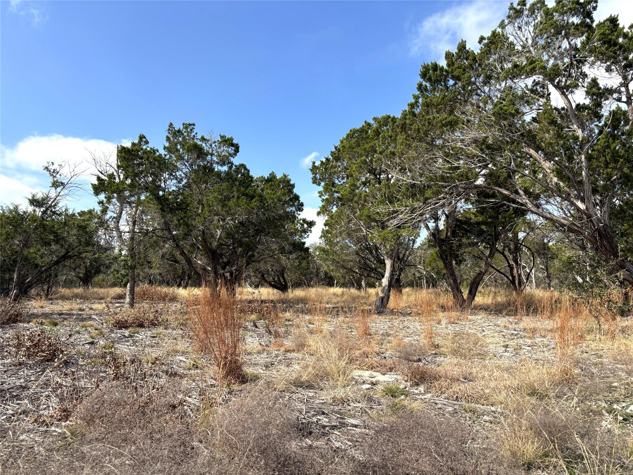 Tract 7 Burnet Oaks, Burnet, TX 78611 photo 5