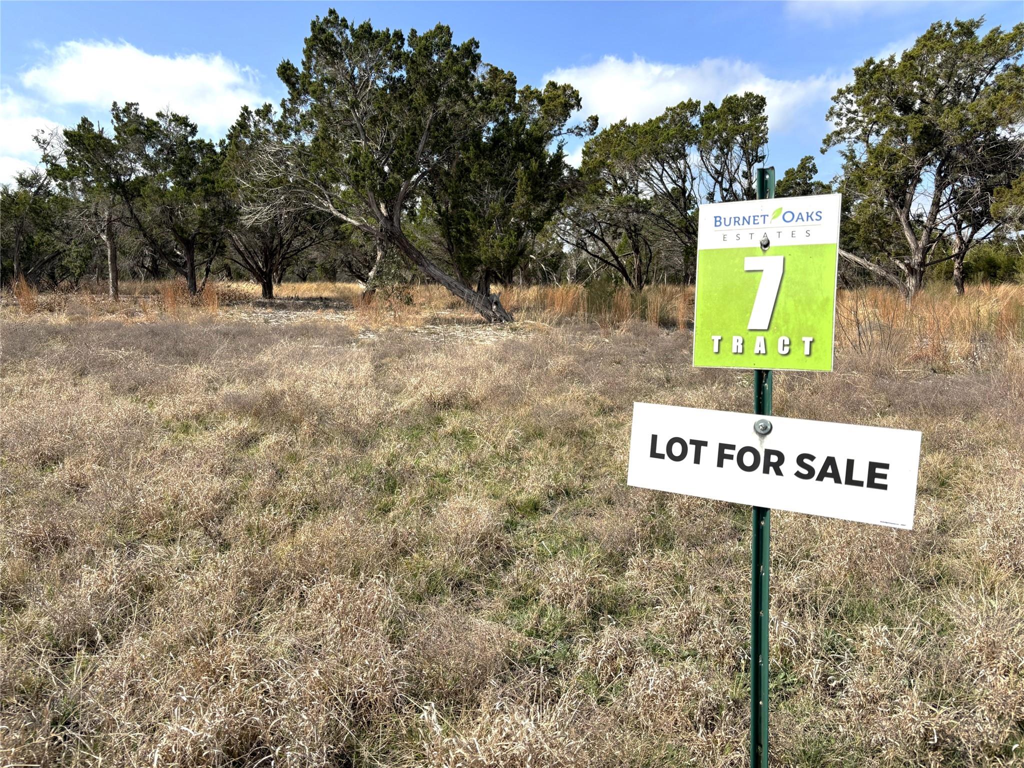 Tract 7 Burnet Oaks, Burnet, TX 78611 photo 4