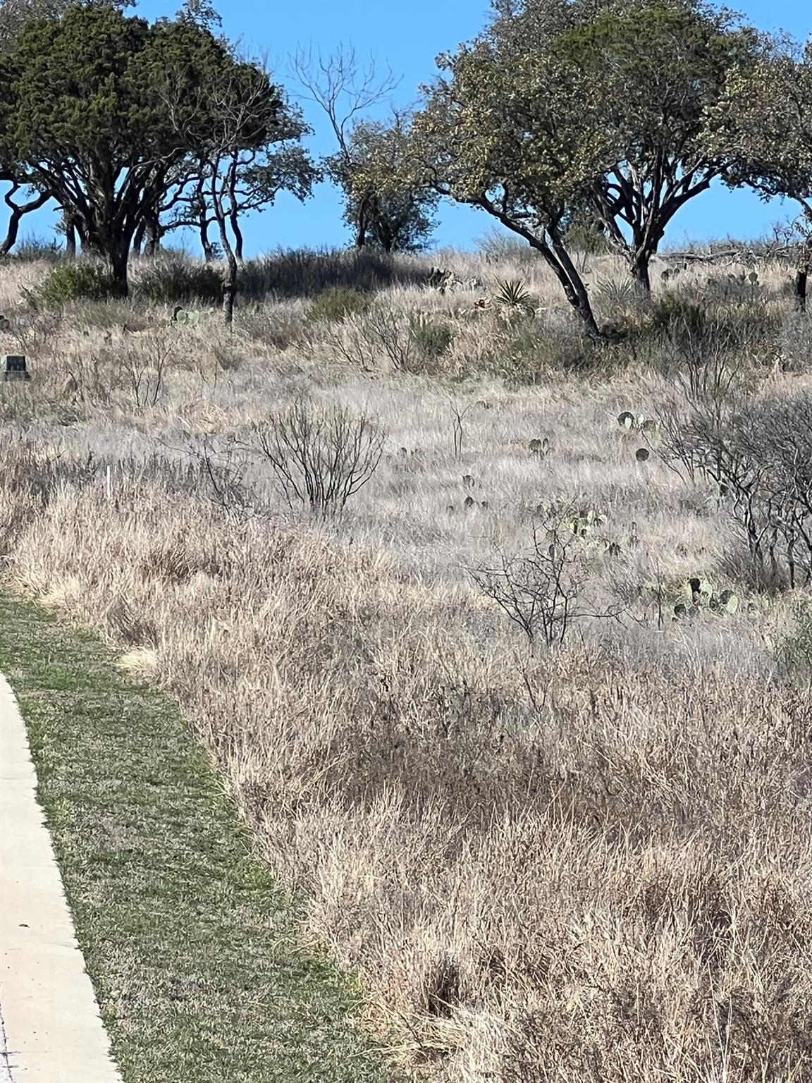 Lot 25 Southview CT, Kingsland, TX 78639 photo 5
