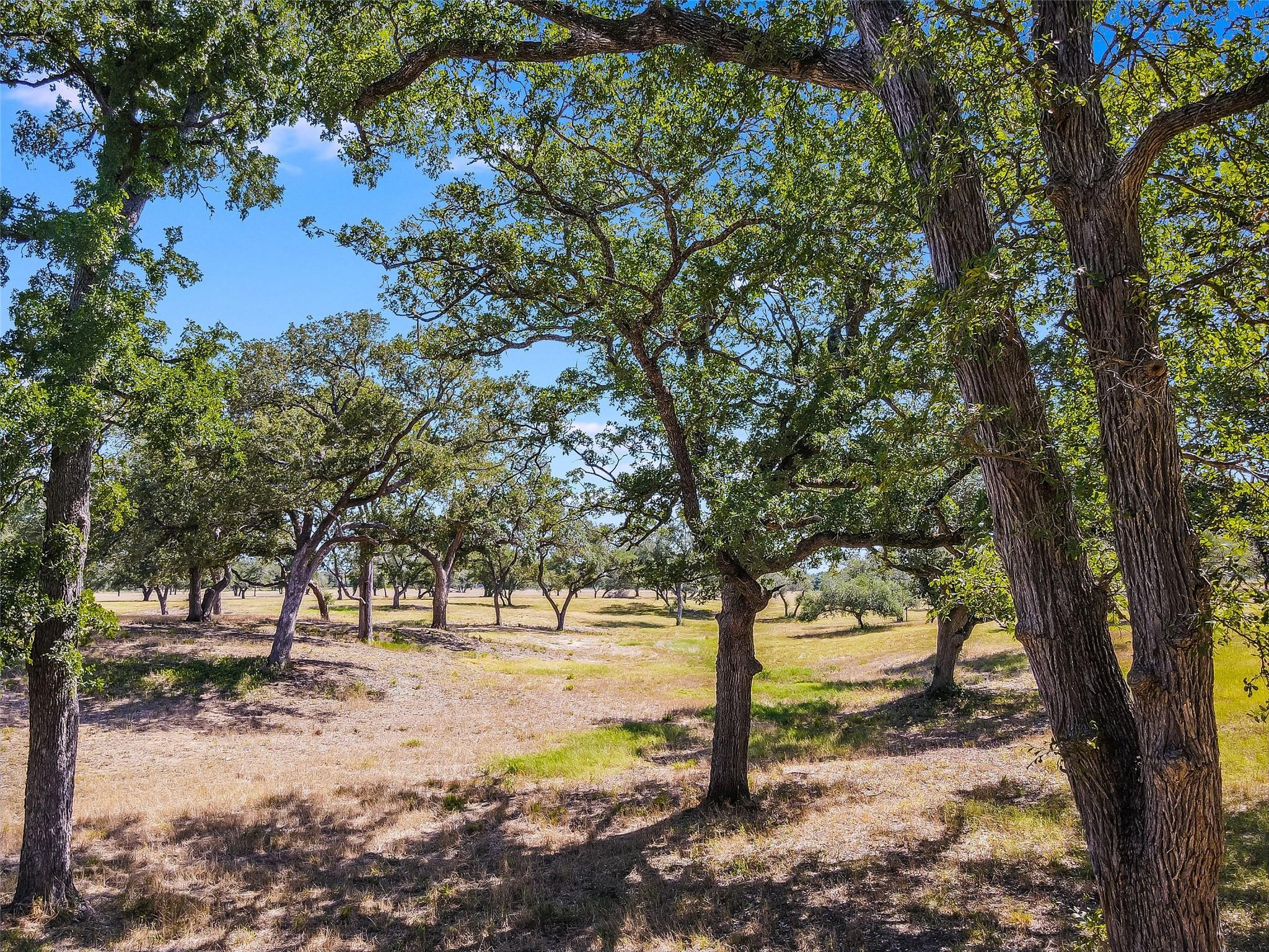 762 Karisch RD, Giddings, TX 78942 photo 3