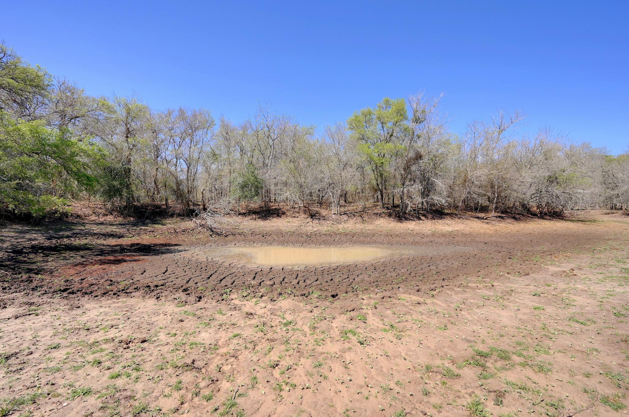 000 Cr 420, Waelder, TX 78959 photo 5