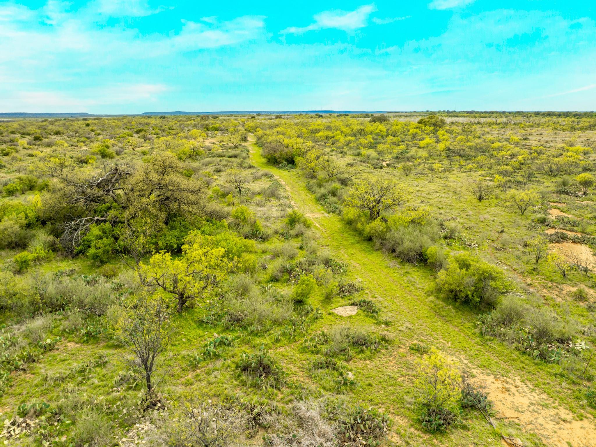 117 Private Road 541, Brady, TX 76852 photo 4