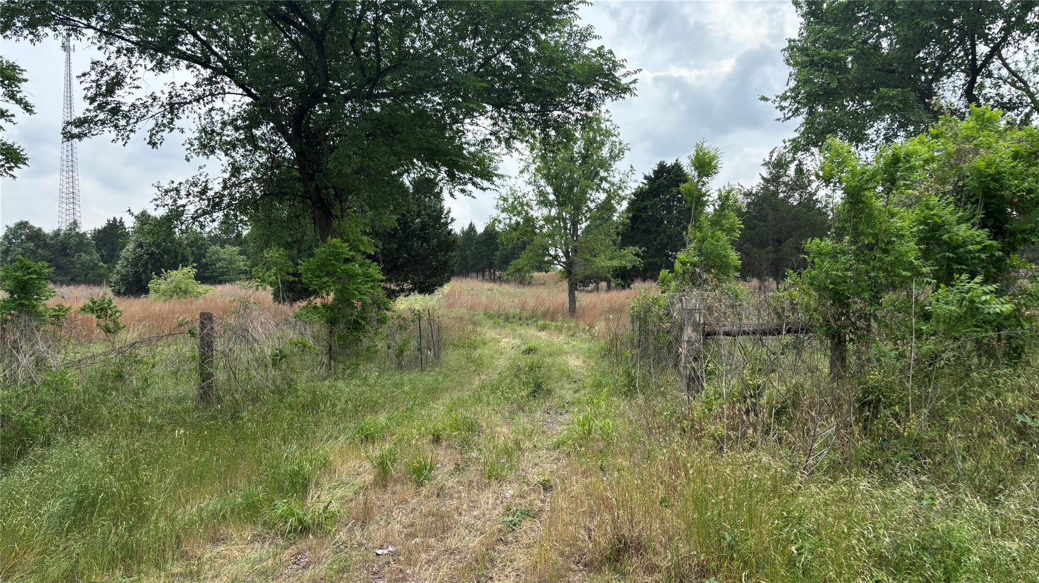 000 Old Sayers RD, Bastrop, TX 78602 photo 3