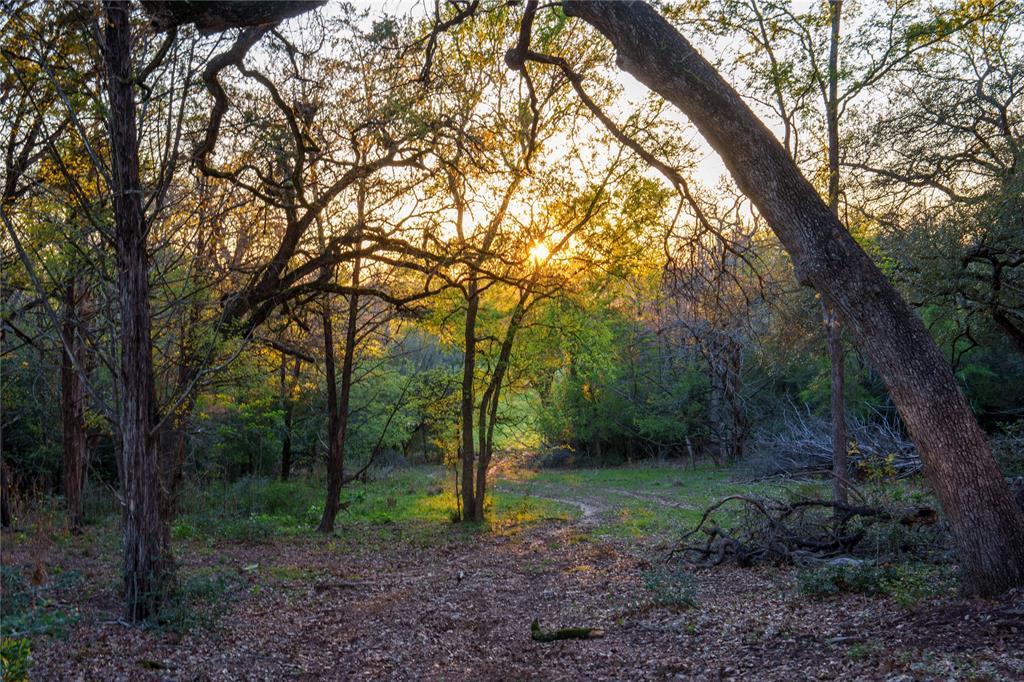1700 County Road 216, Giddings, TX 78942 photo 4